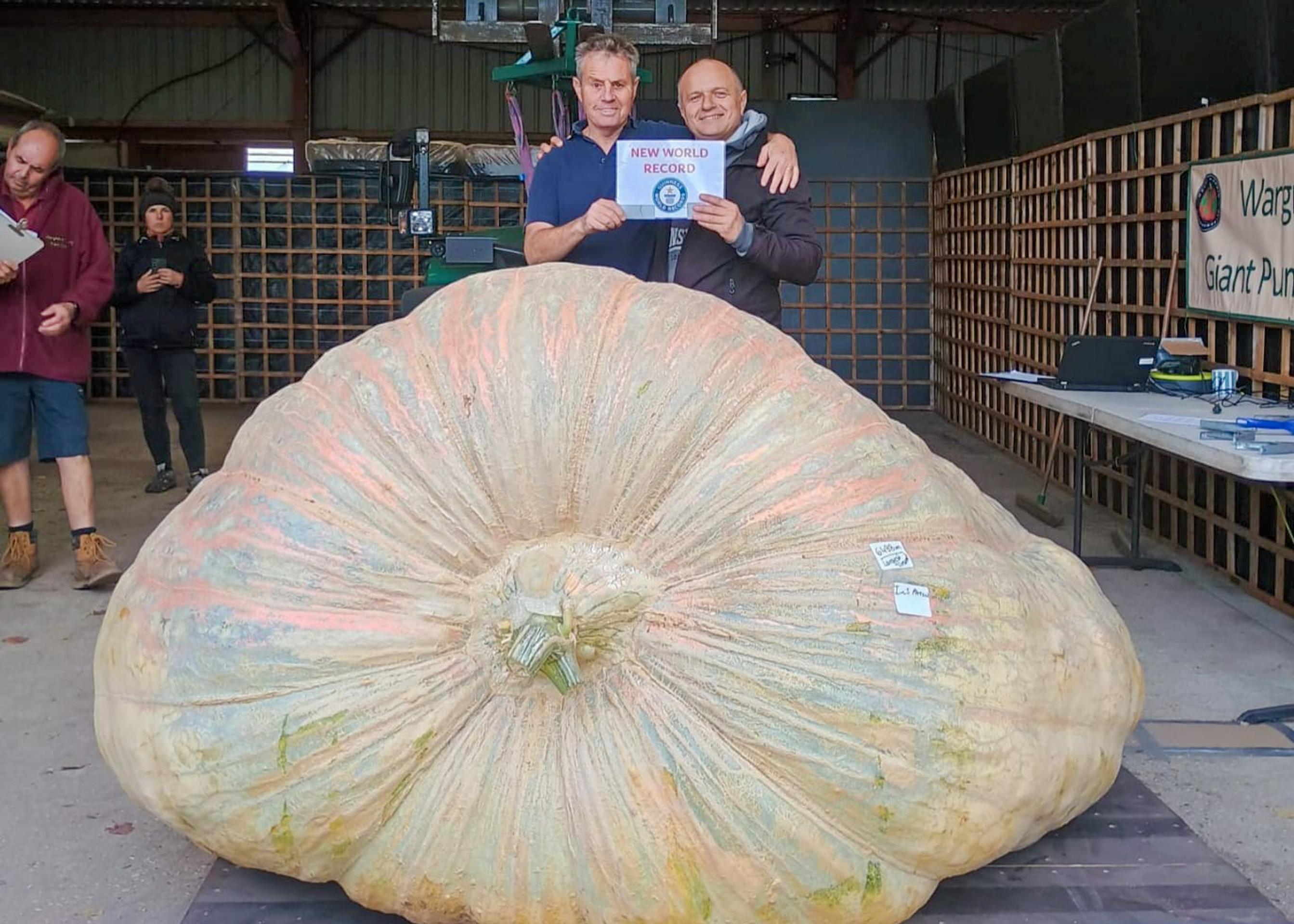Bratia vypestoval rekordne veľkú tekvicu.