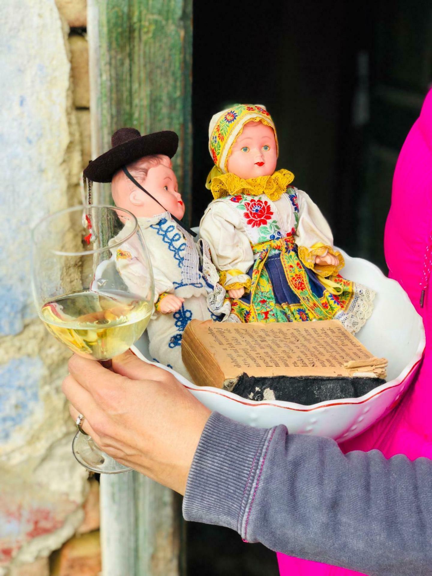 Vinice - ilustračná snímka.