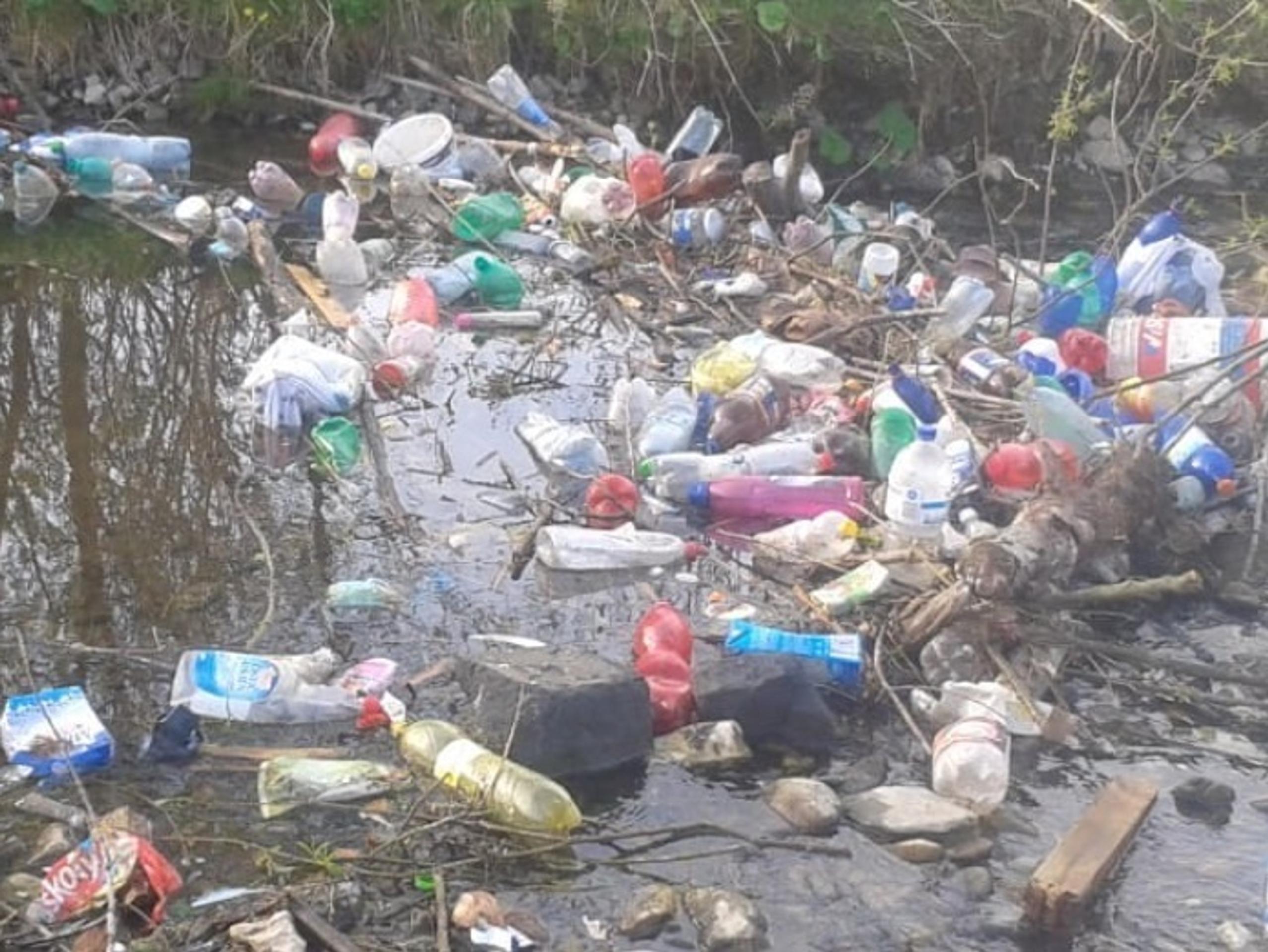 Adele - 21 / Taylor Swift - 1989