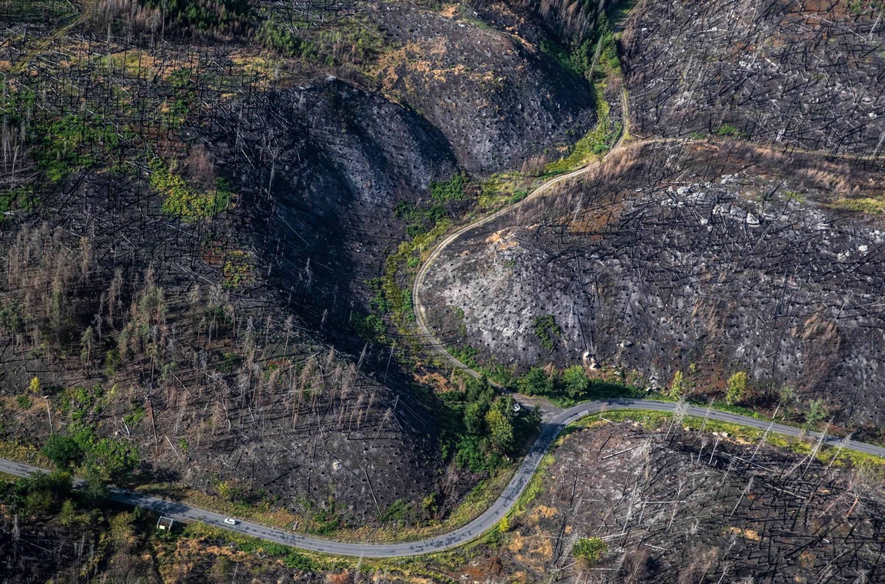 České Švajčiarsko rok po požiari