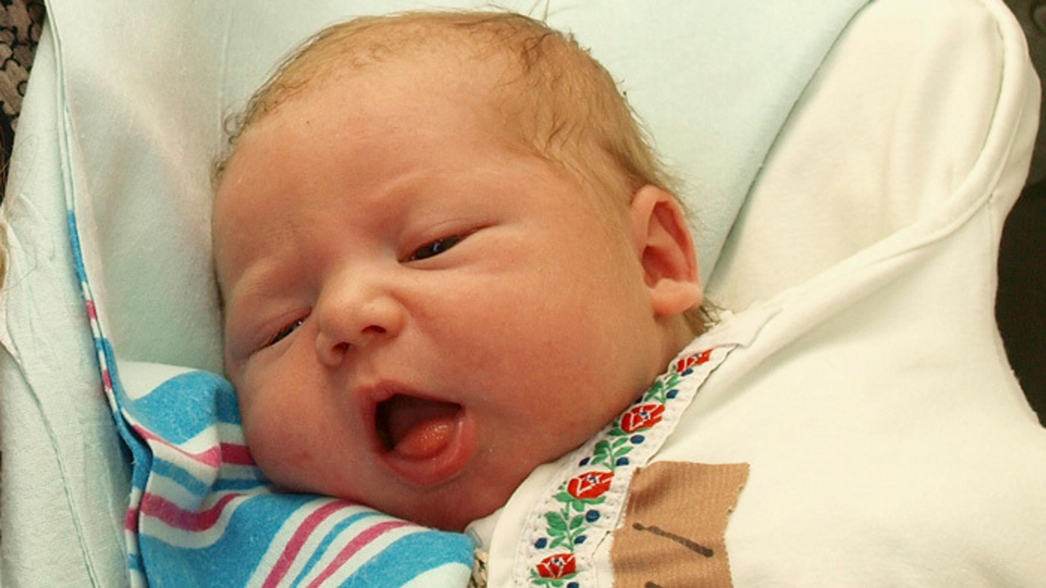 Najvyšší ústavní činitelia na Novoročnej omši.