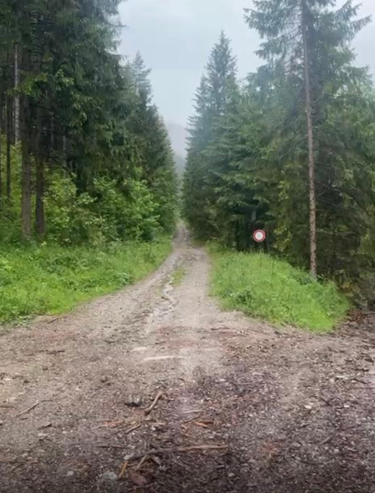 V doline pod Liptovským hradom napadol medveď lesného pracovníka.