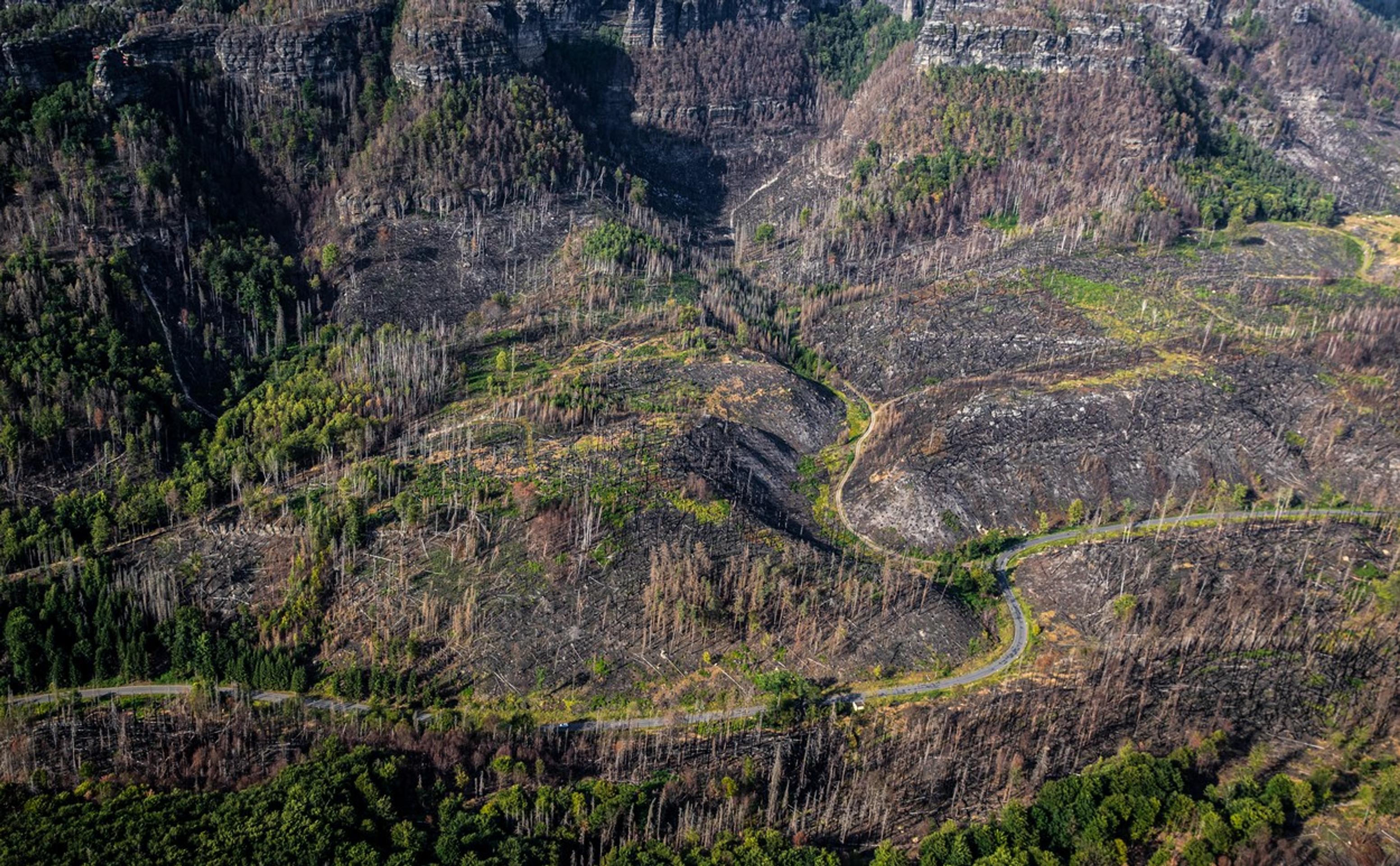 České Švajčiarsko rok po požiari
