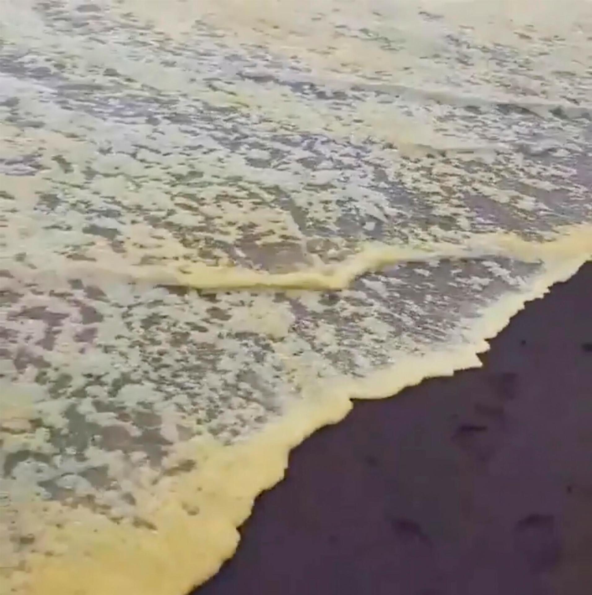 Ekologická katastrofa na Kamčatke