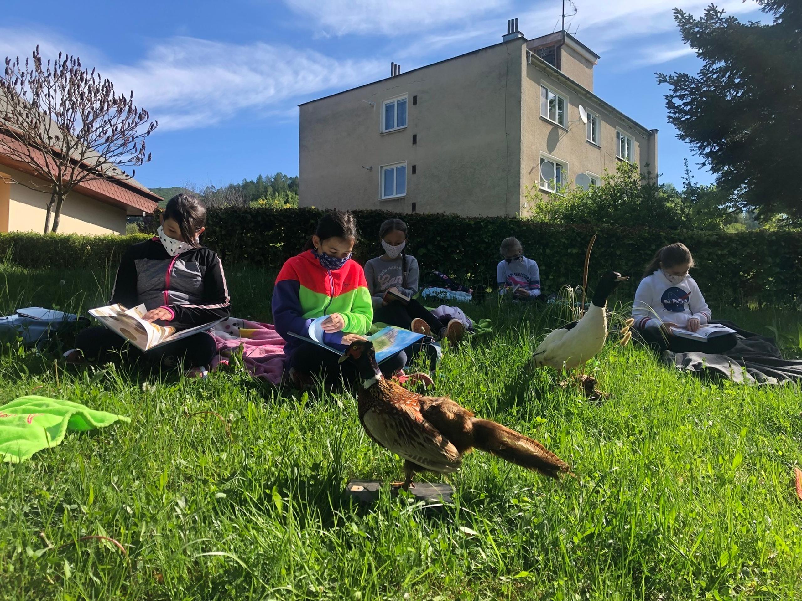 19 Predaj testov.transfer_tvnoviny.mp4