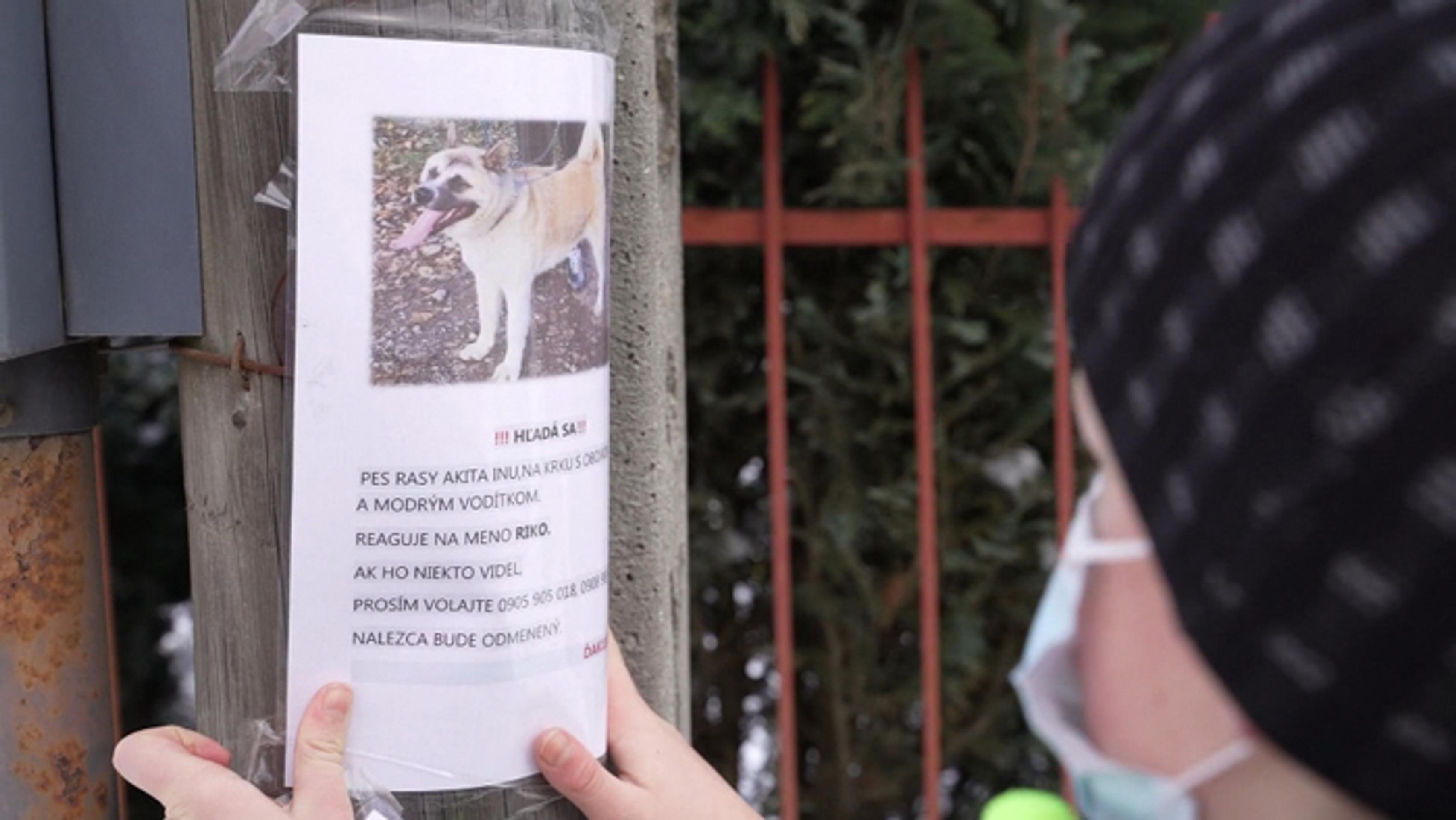 Pri stavbe bytovky sa zranili robotníci.