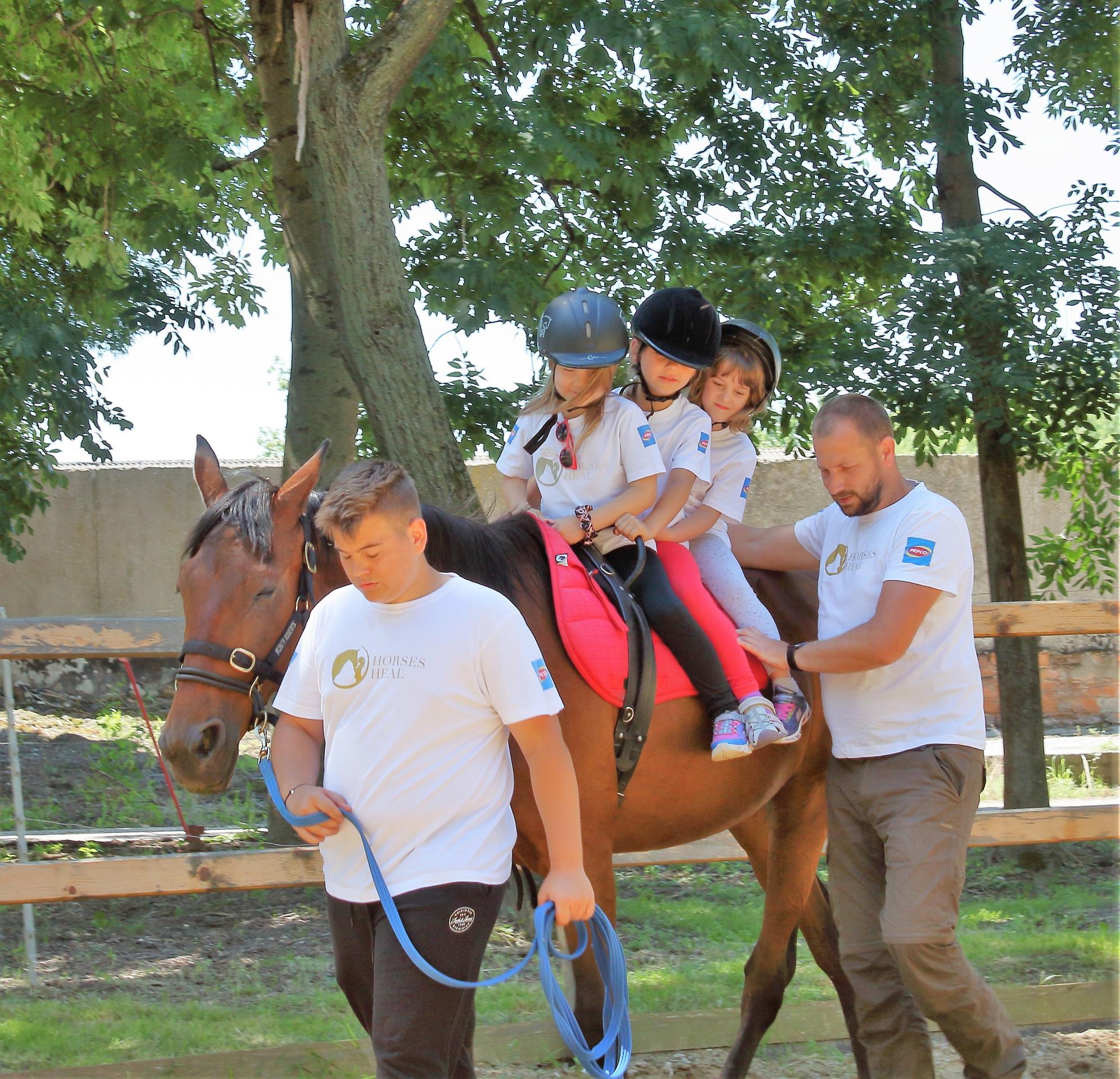 Horse Heal