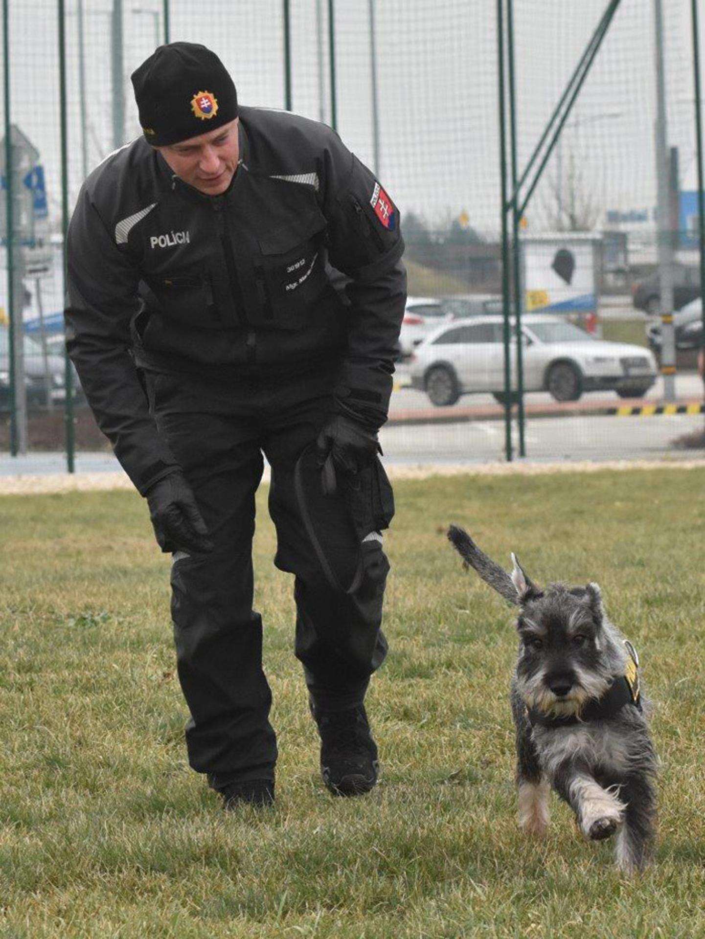 Rita Ora so svojim psovodom.