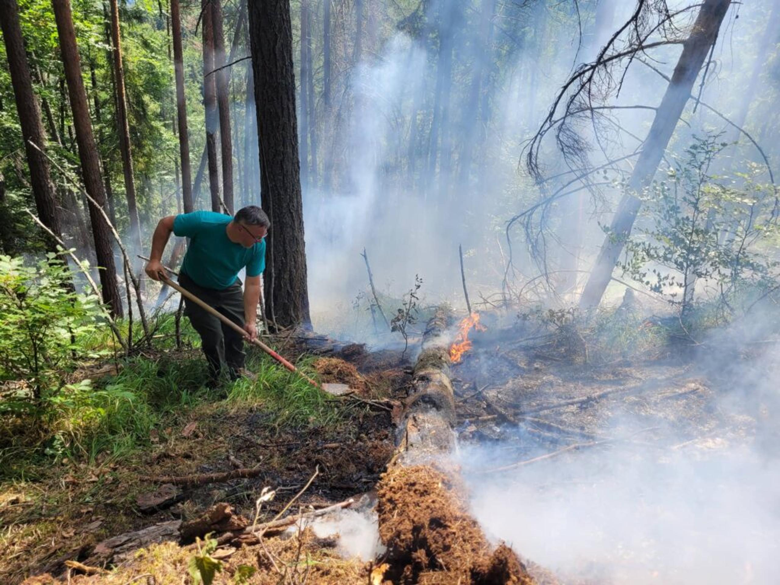 Michal Dragoš (lesník zo Správy NP Slovenský raj)