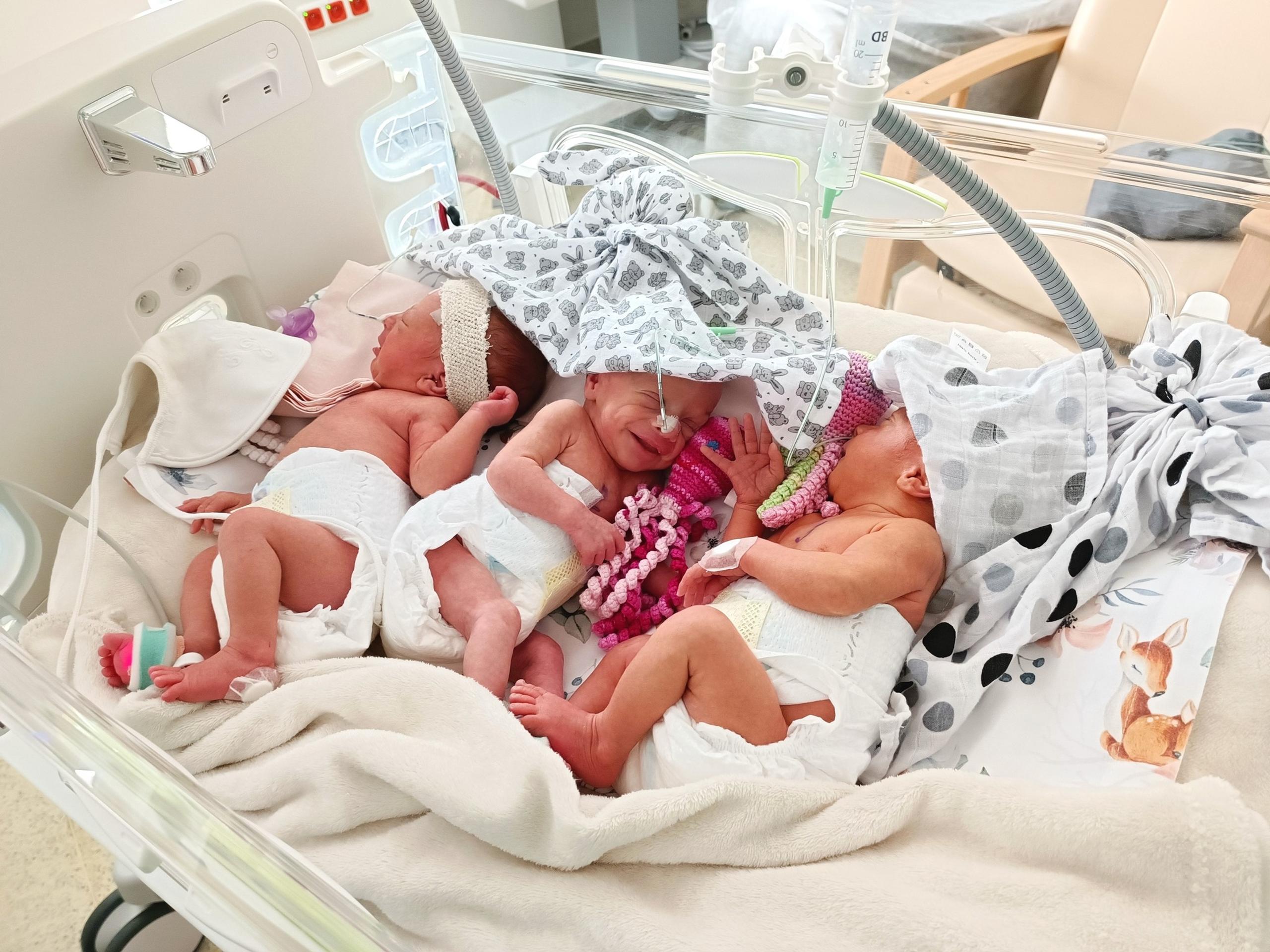 Prvé tohtoročné trojičky v Trenčíne.