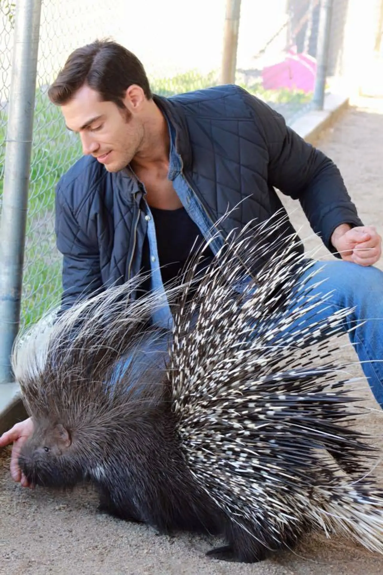 Dr. Evan Antin