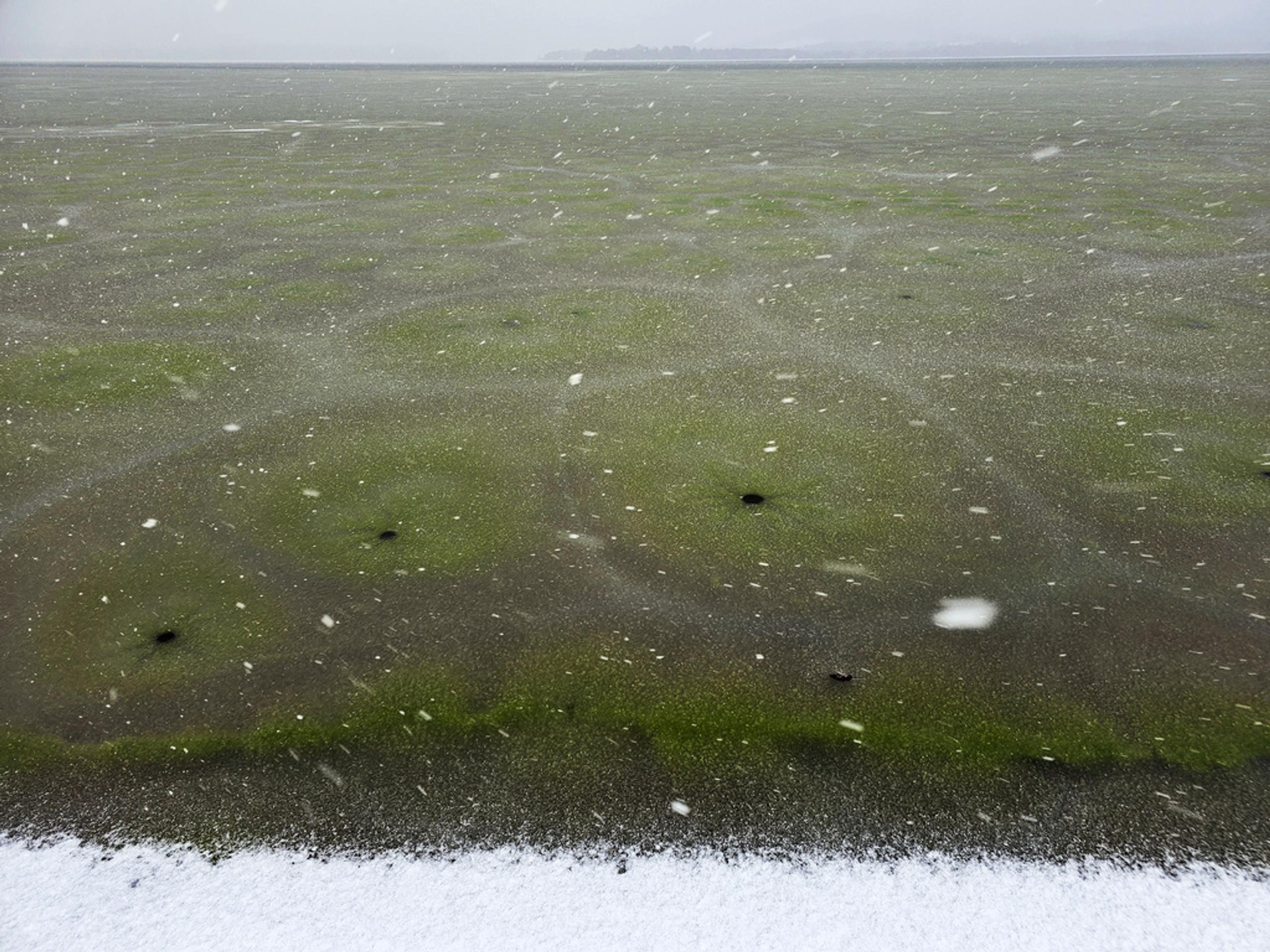 Vodnú nádrž Lipno pokryl zelený ľad zafarbený od siníc.