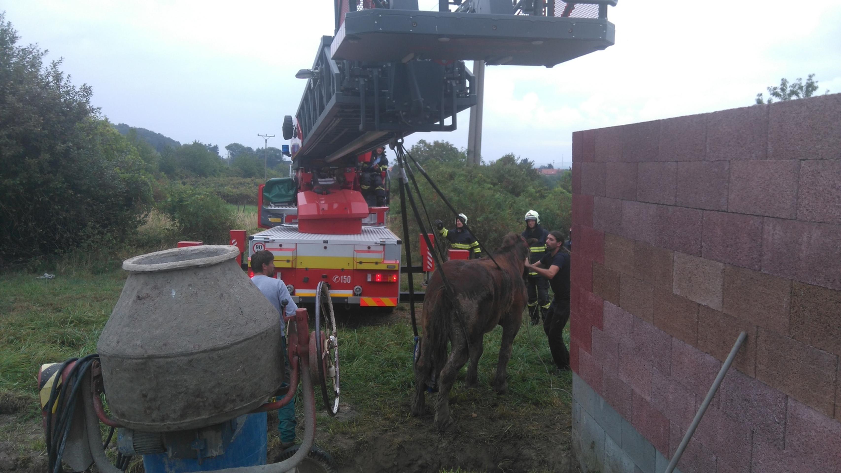Hasičom z Pezinka sa dnes podarilo zachrániť ťažného koňa