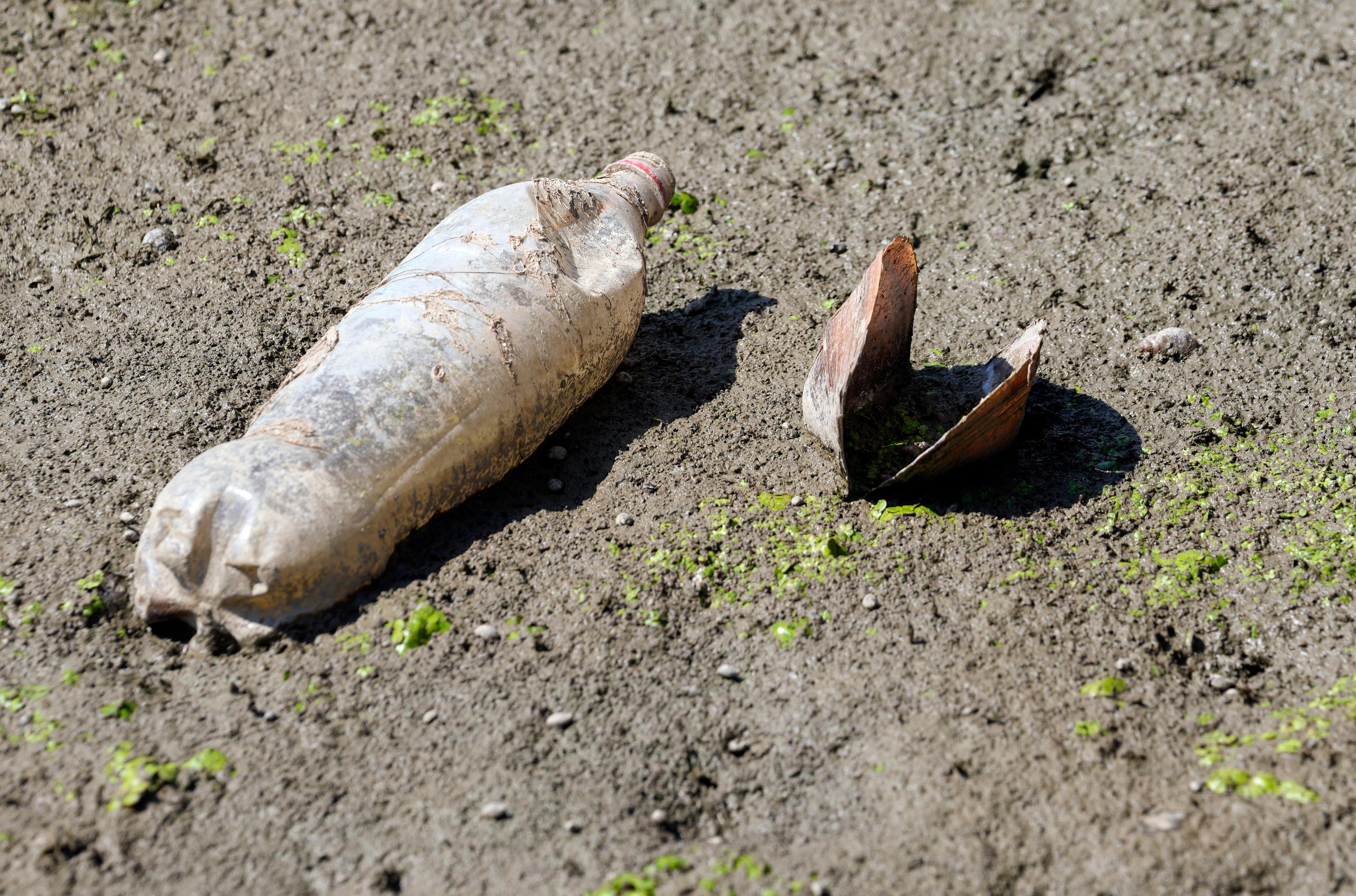 Sucho na brehoch rieky Sáva, prítoku Dunaja v srbskom Belehrade.