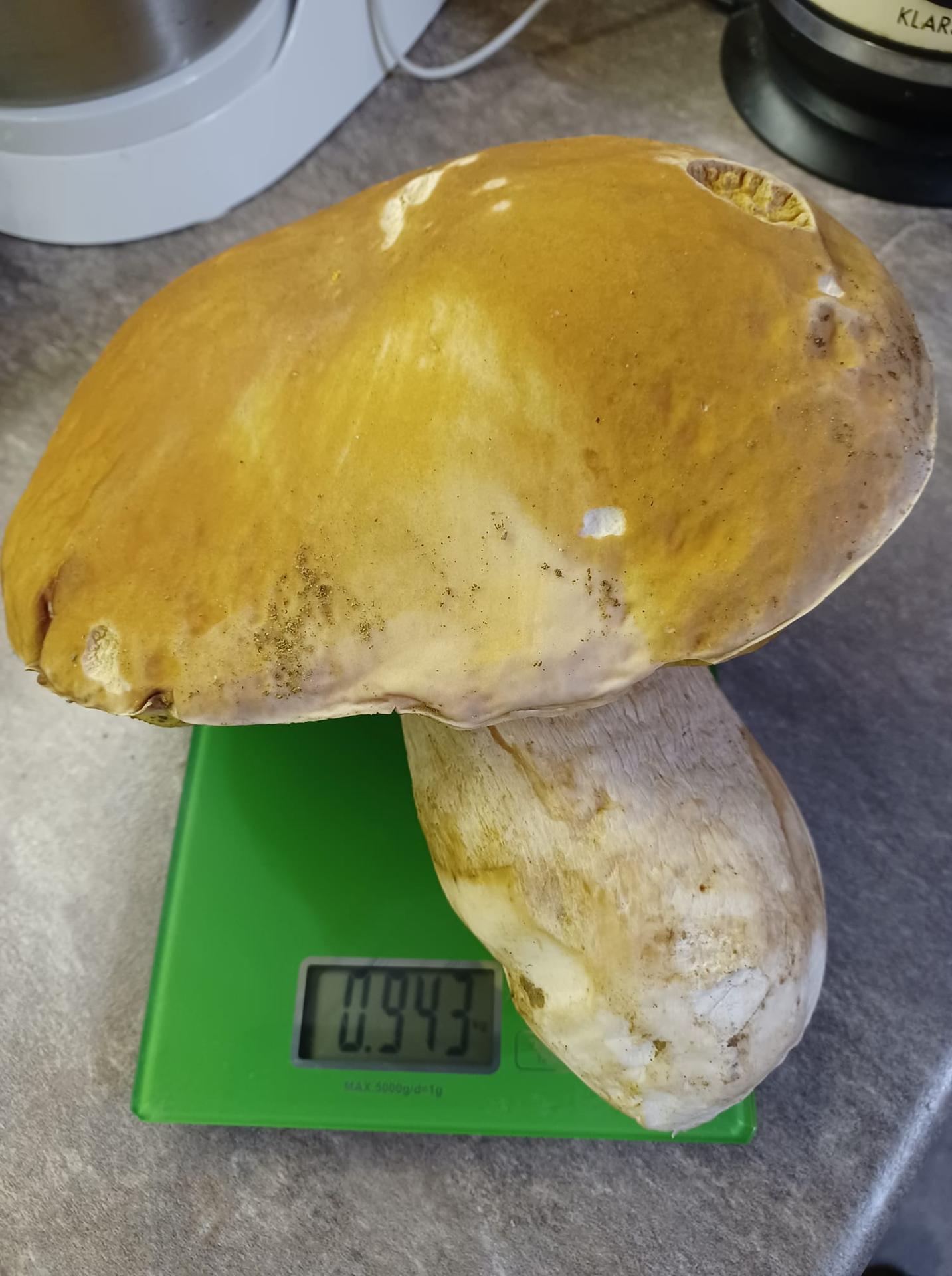 Jeden záber zo severovýchodného Slovenska z Bardejova vďaka Ivete Volčkovej Ujackej