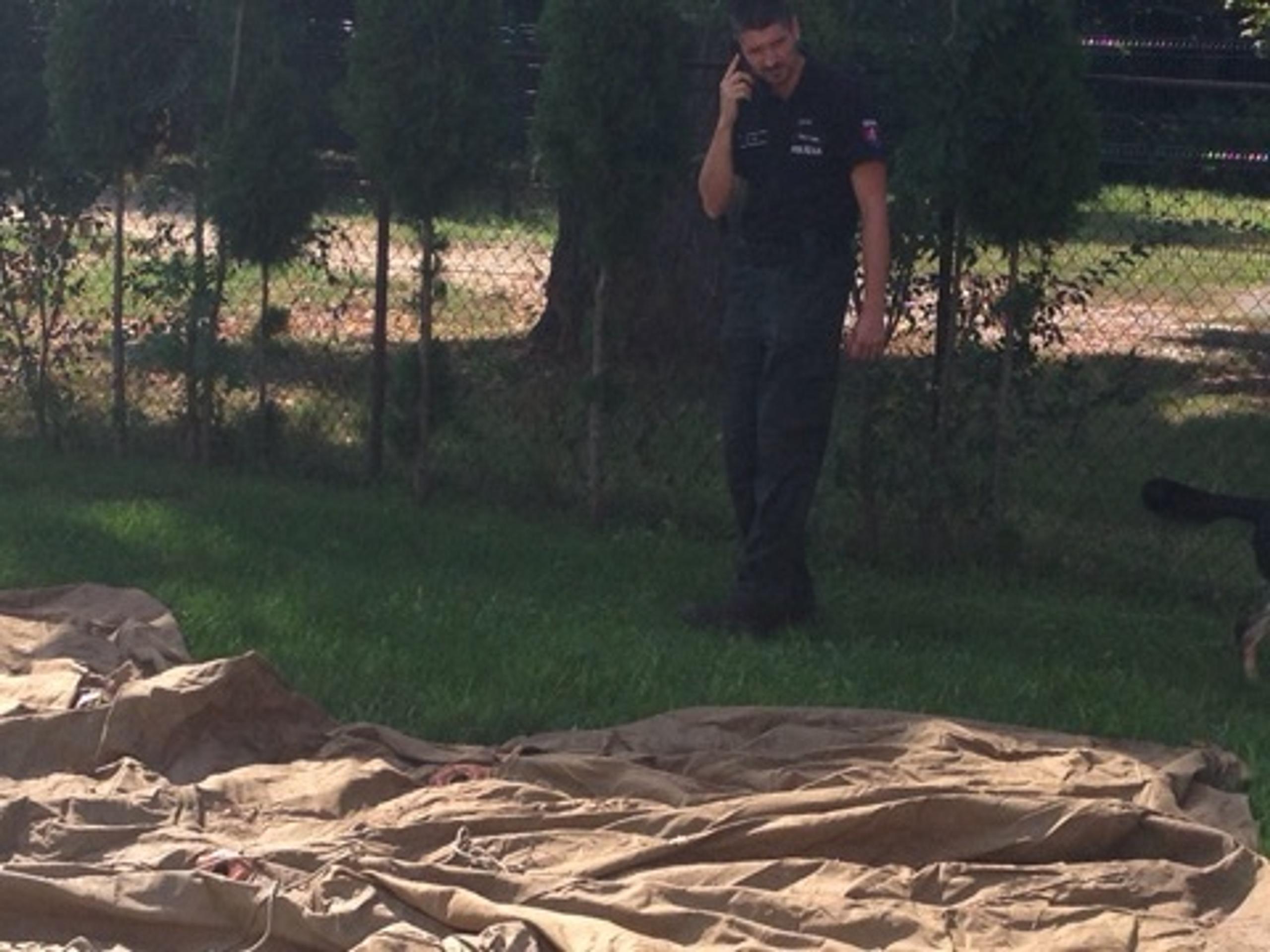 Pes na vyhľadávanie drog