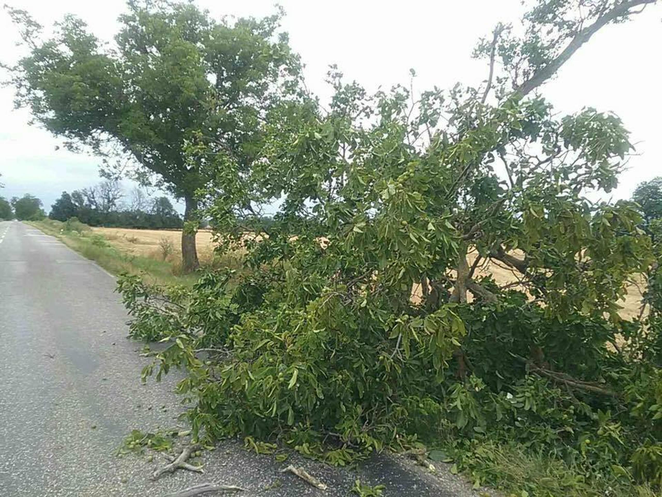 Hasiči bojujú s nepriaznivým počasím.