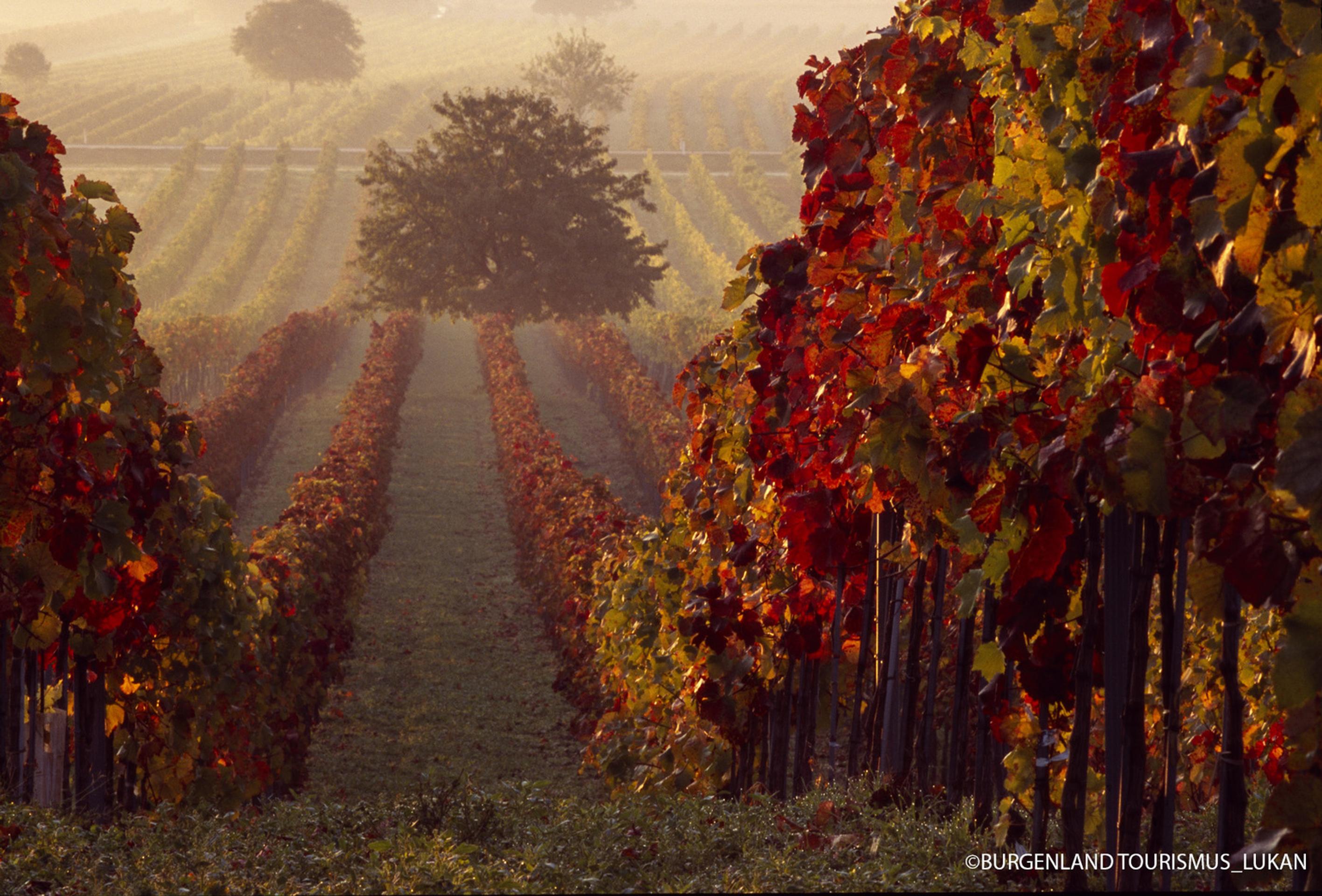 Ilustračná snímka.