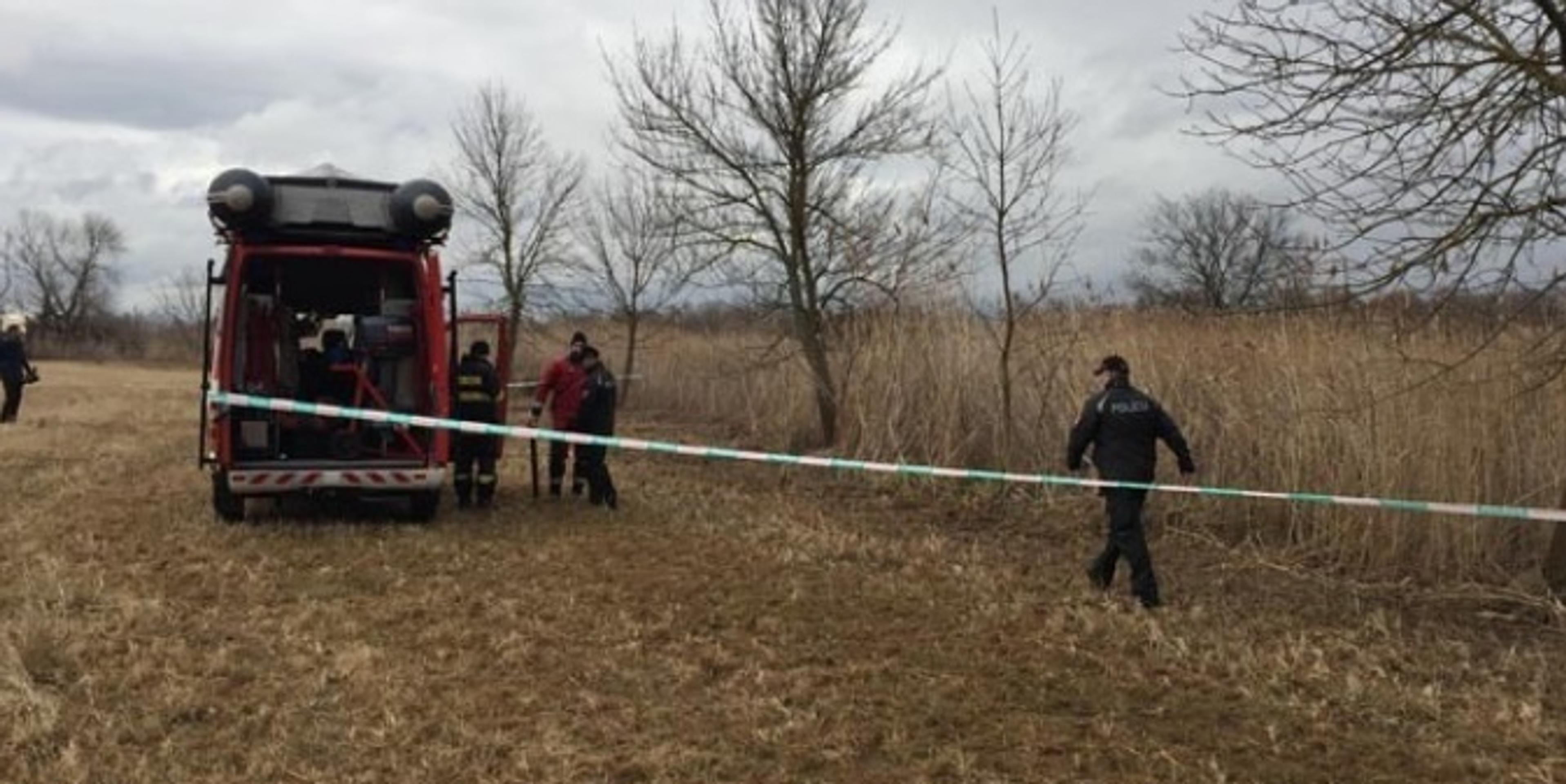 V Holandsku vietor rúcal stromy. 