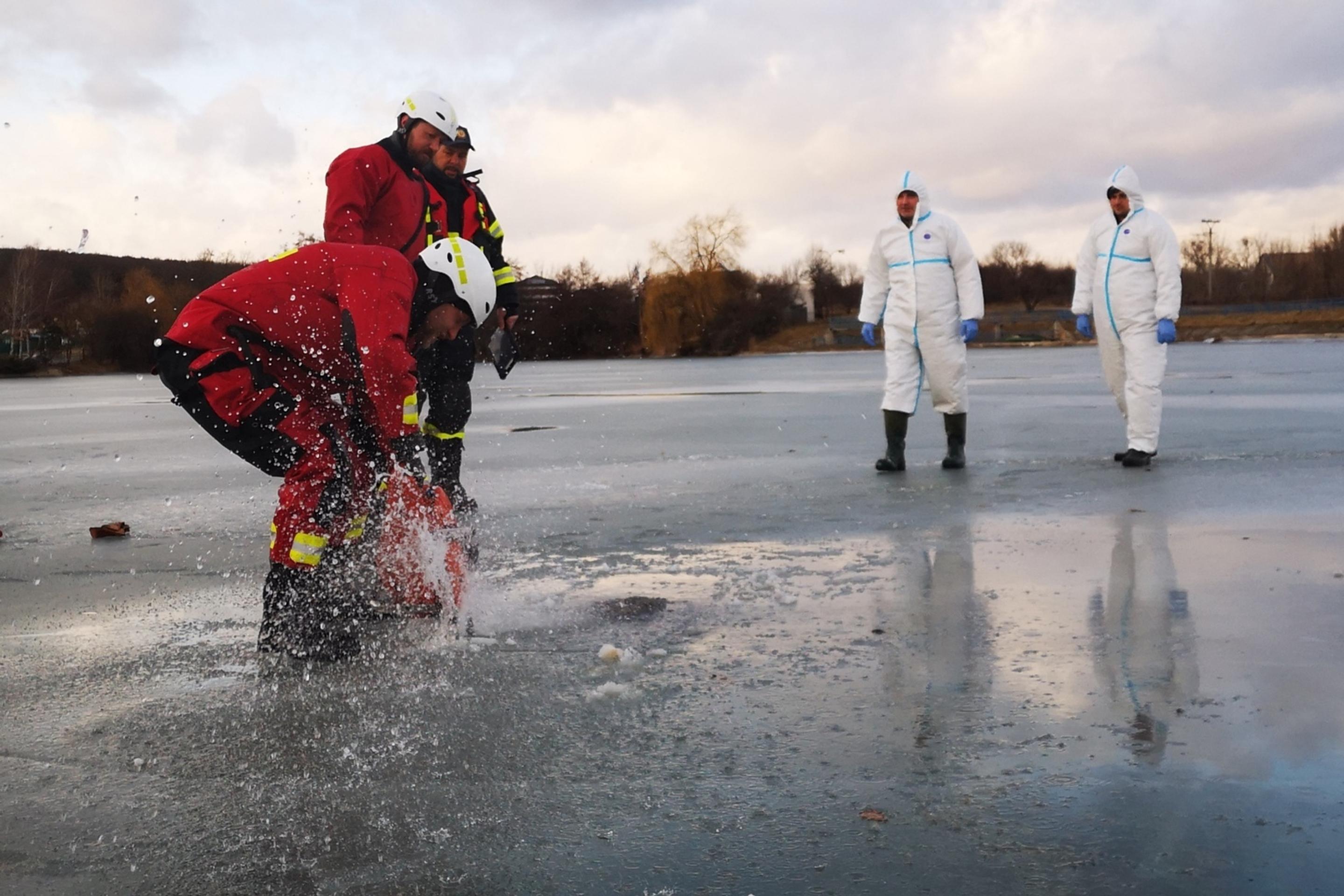 Pri akcii pomáhali hasiči.