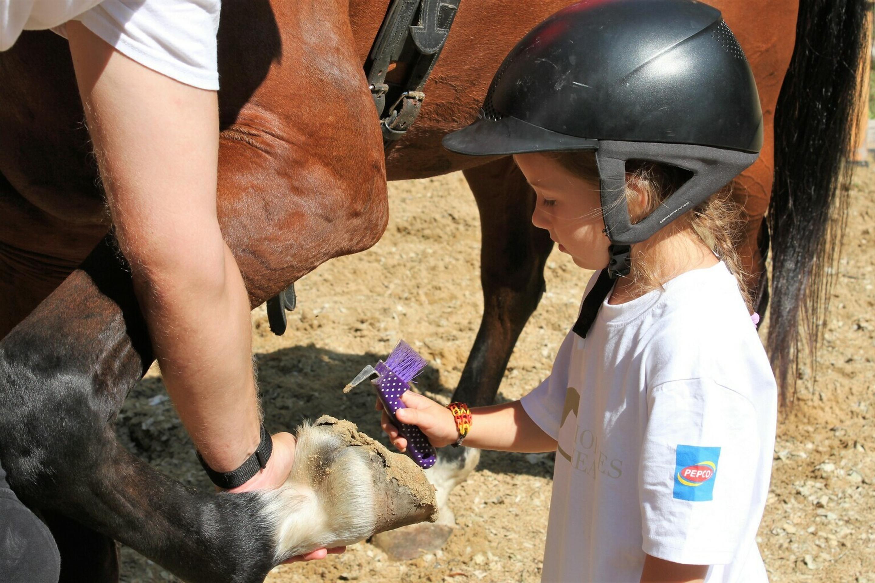 Na priaznivé účinky koní na ľudí 