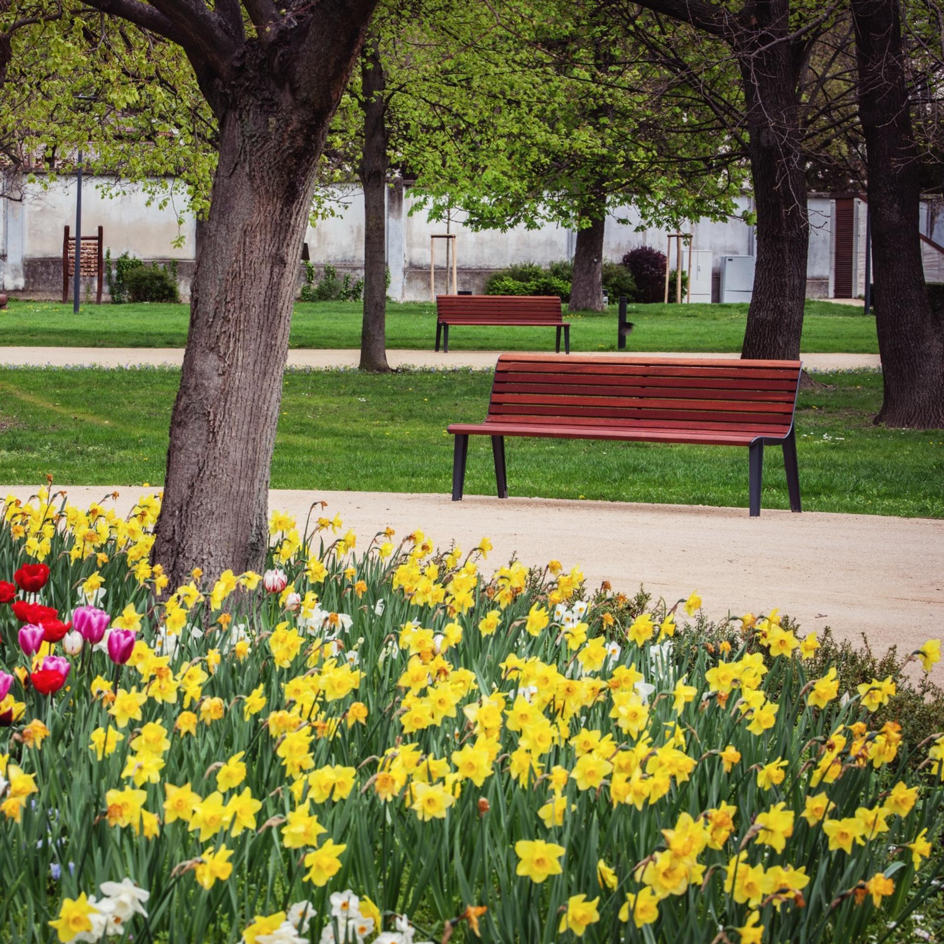 448459980_768101232180660_3717572474067202397_n