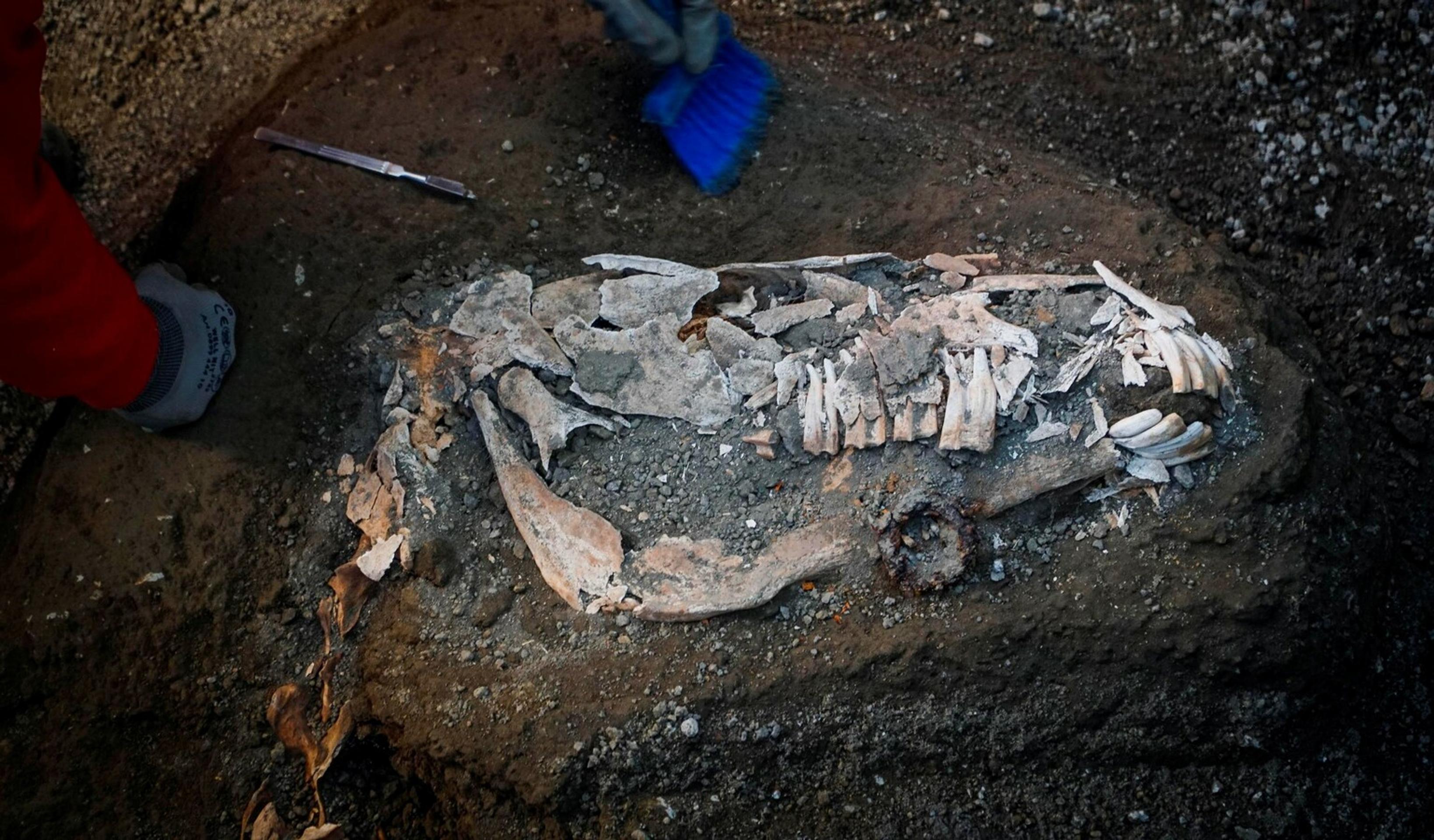 Nový objav v Pompejách