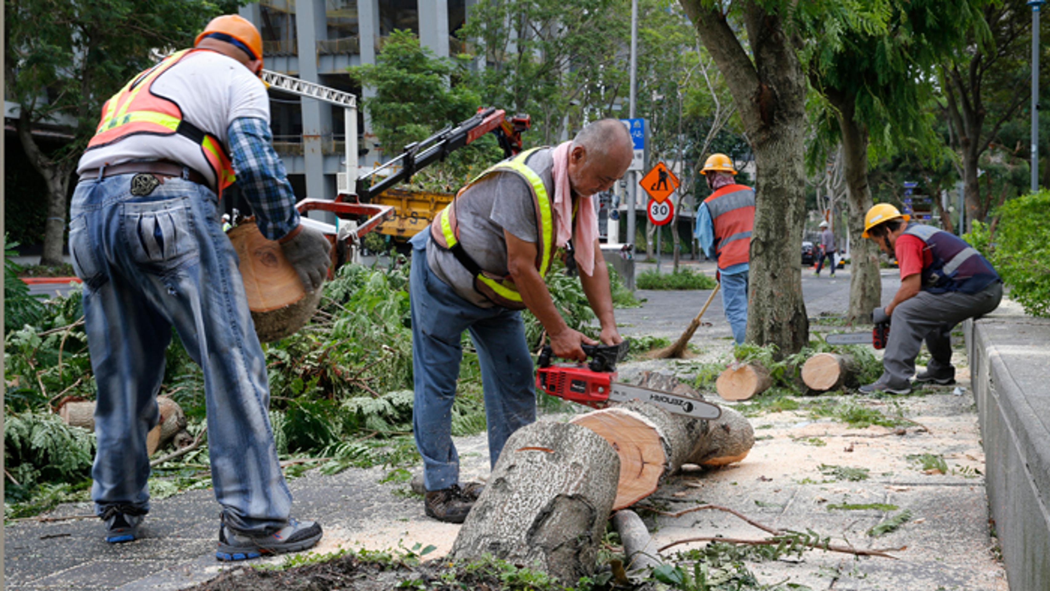 Silný vietor vyvracal stromy a spôsobil zosuvy pôdy.