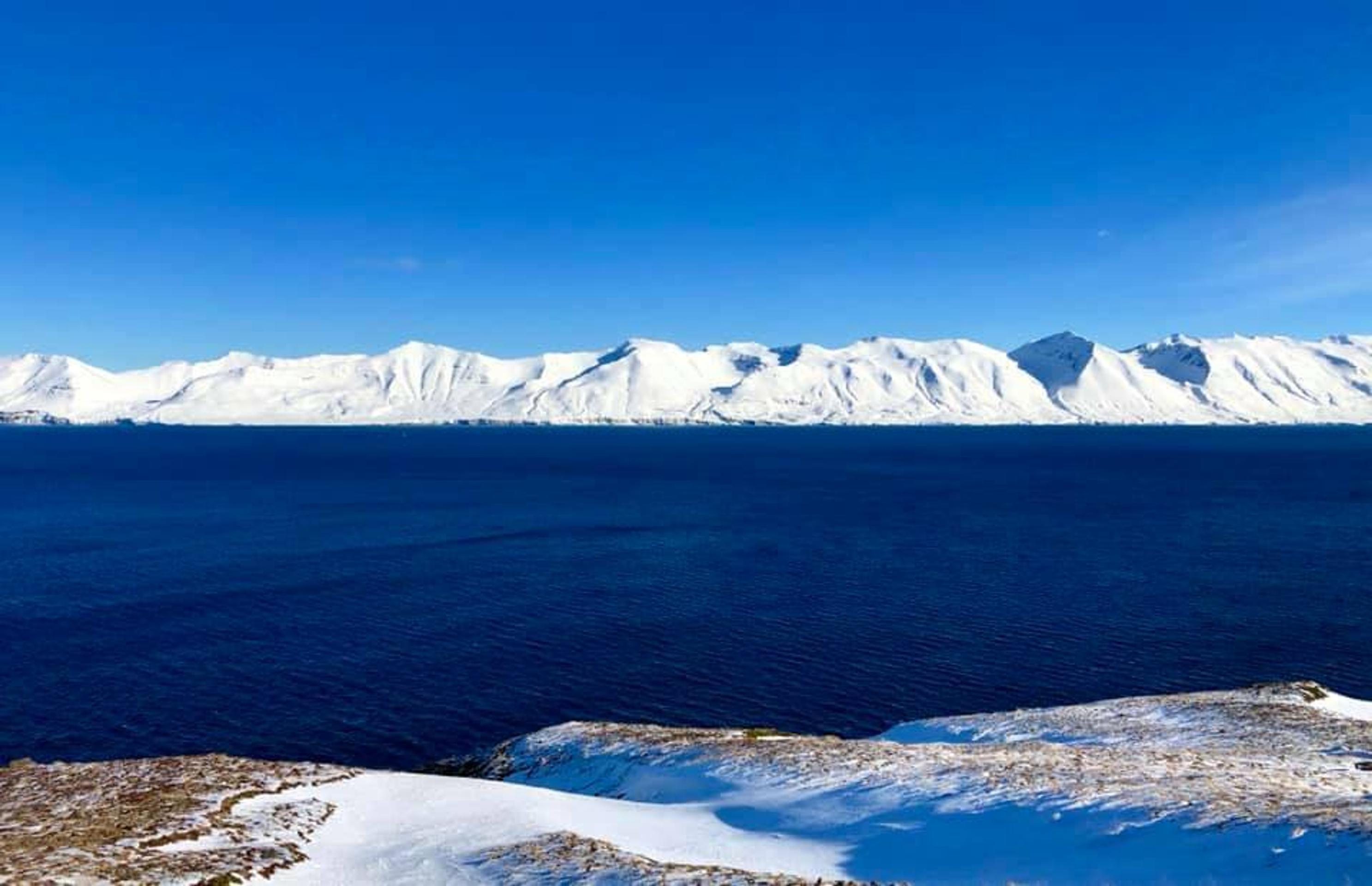 Hráči Ajaxu Amsterdam oslavujú triumf v prvom semifinále LM na pôde Tottenhamu.