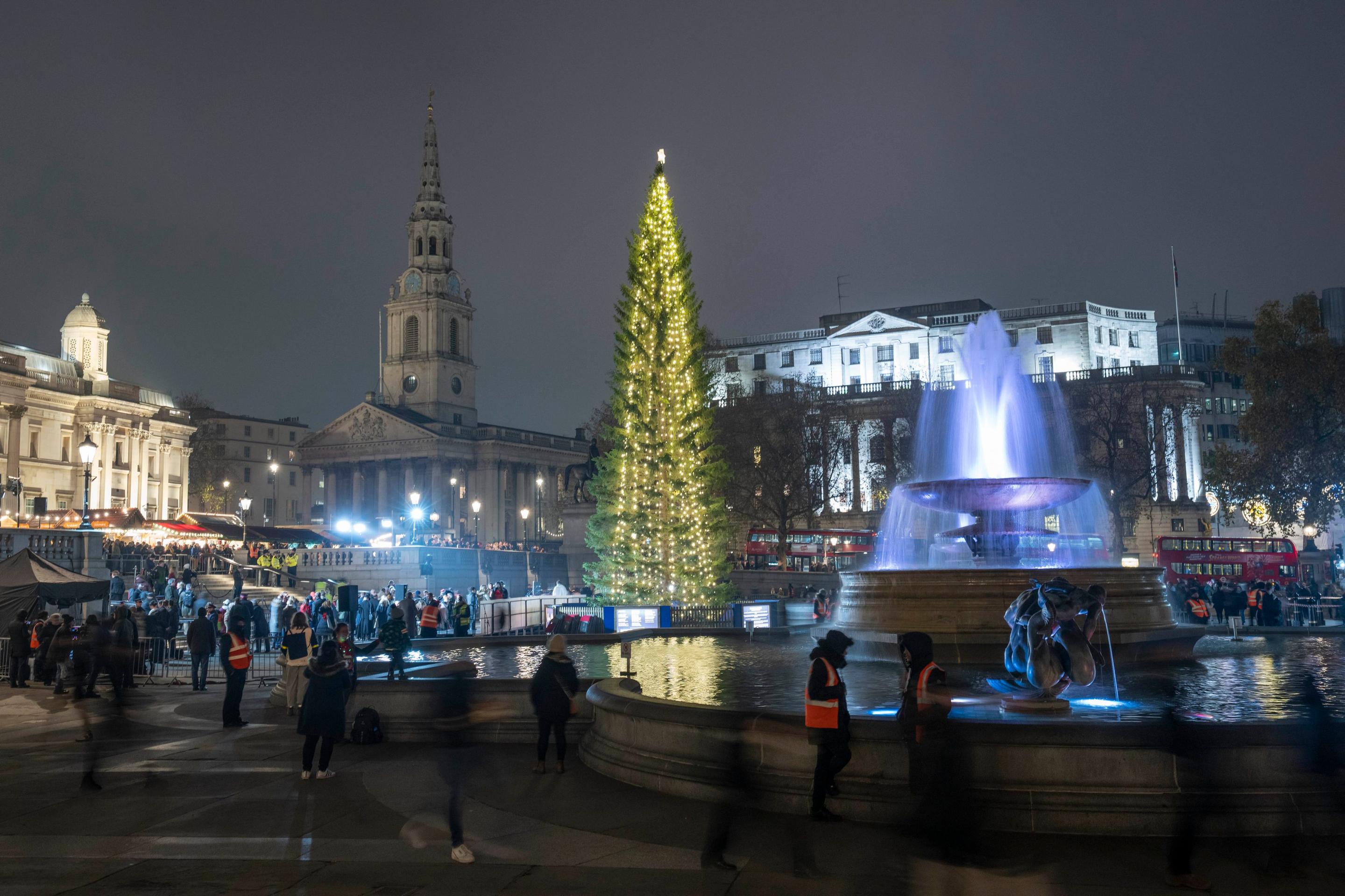 Vianočný stromček na Trafalgar Square v Londýne.