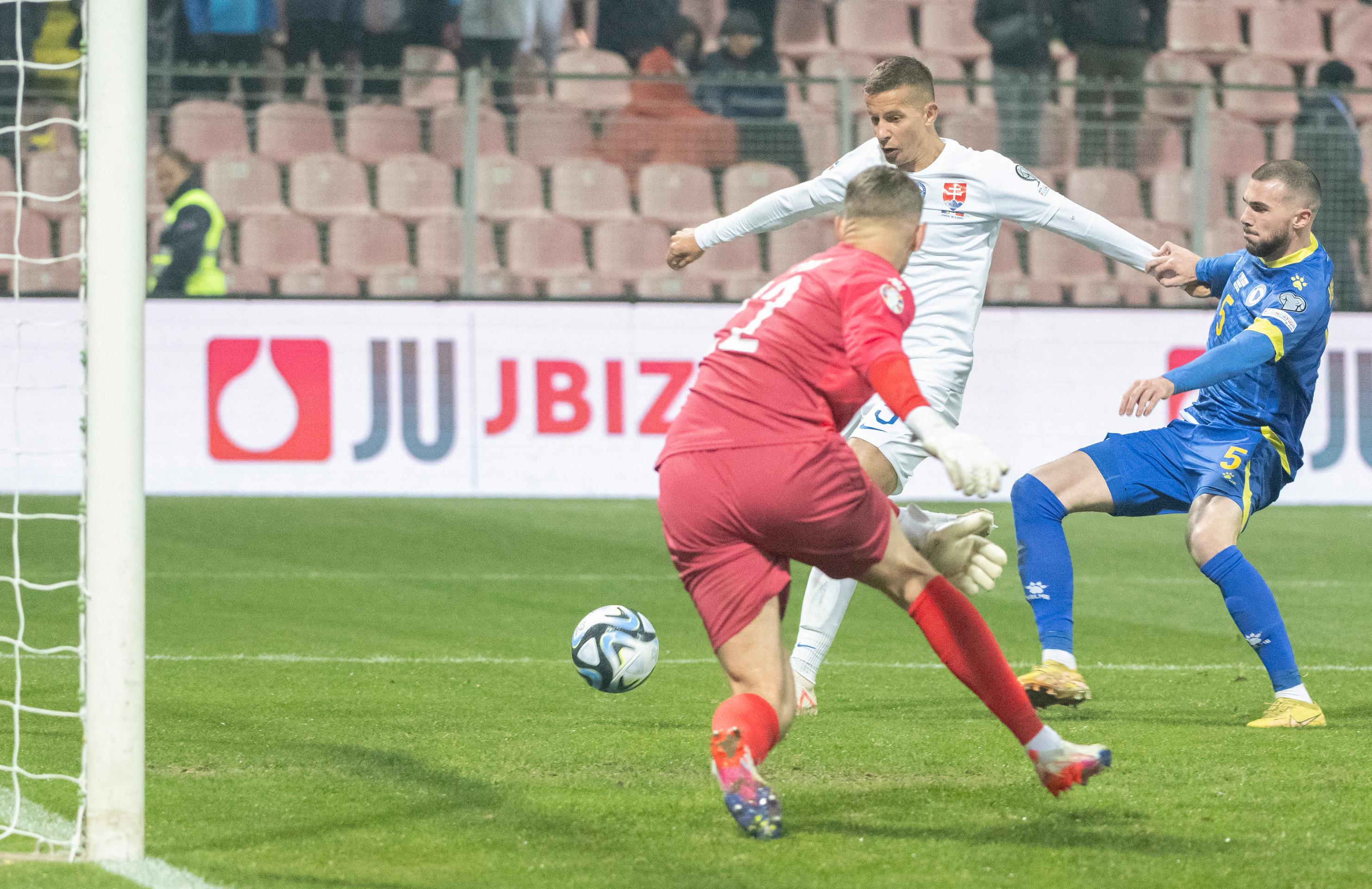 Bosna a Hercegovina - Slovensko.