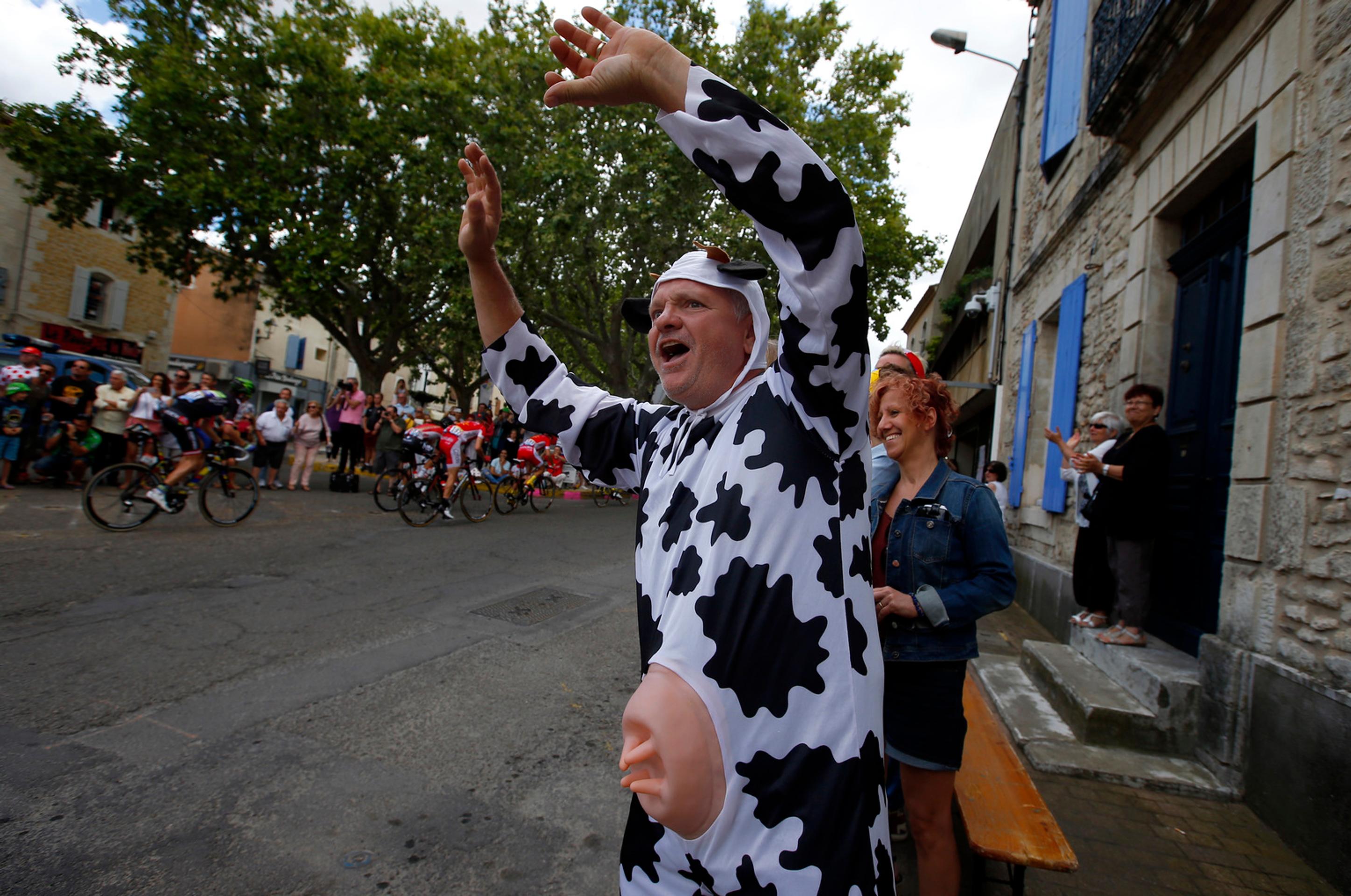 Fanúšik prezlečený za kravu povzbudzuje pretekárov počas 12. etapy Tour de France