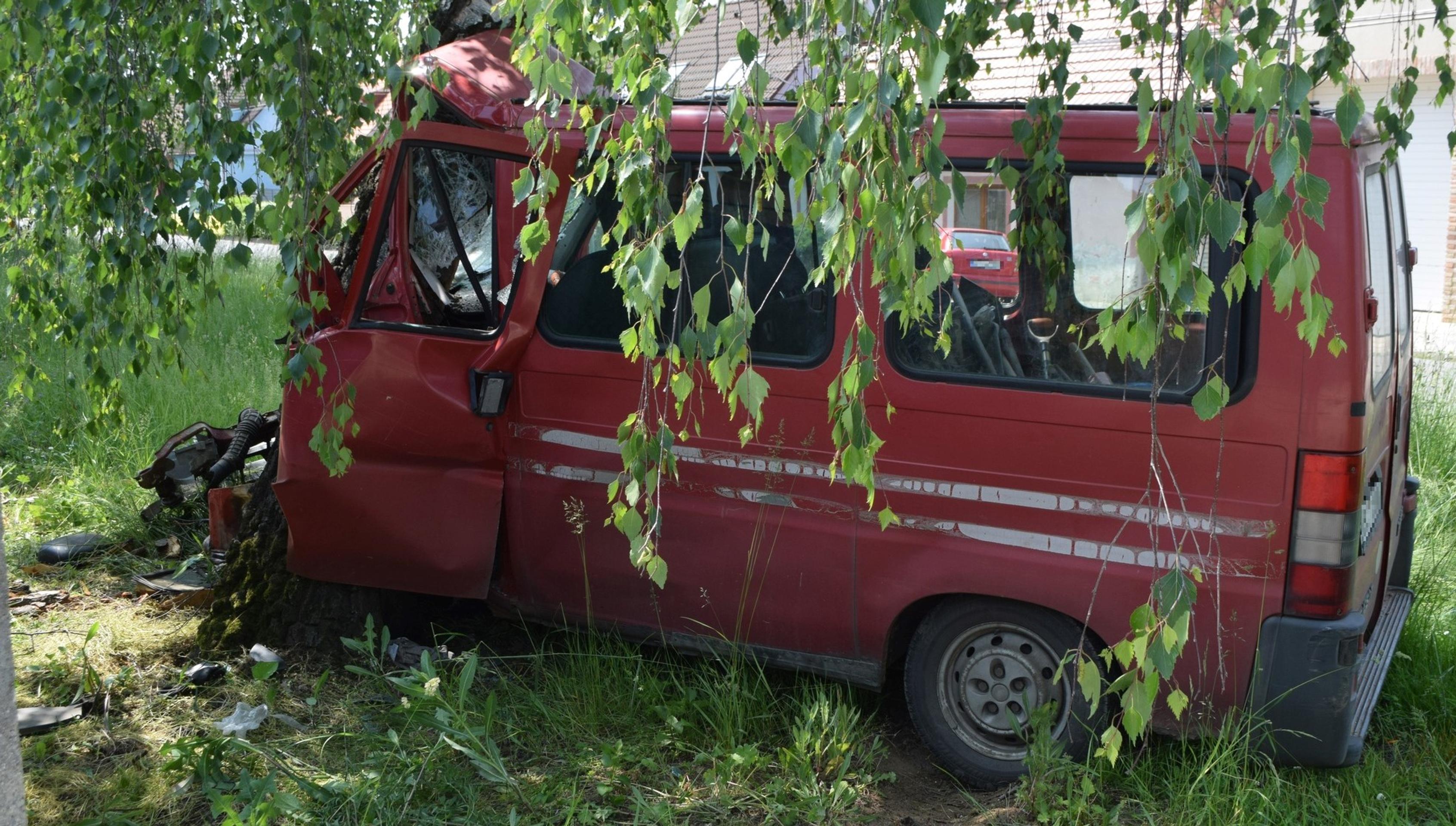 Dvaja muži narazili do stromu. Jeden nafúkal, druhý ušiel.