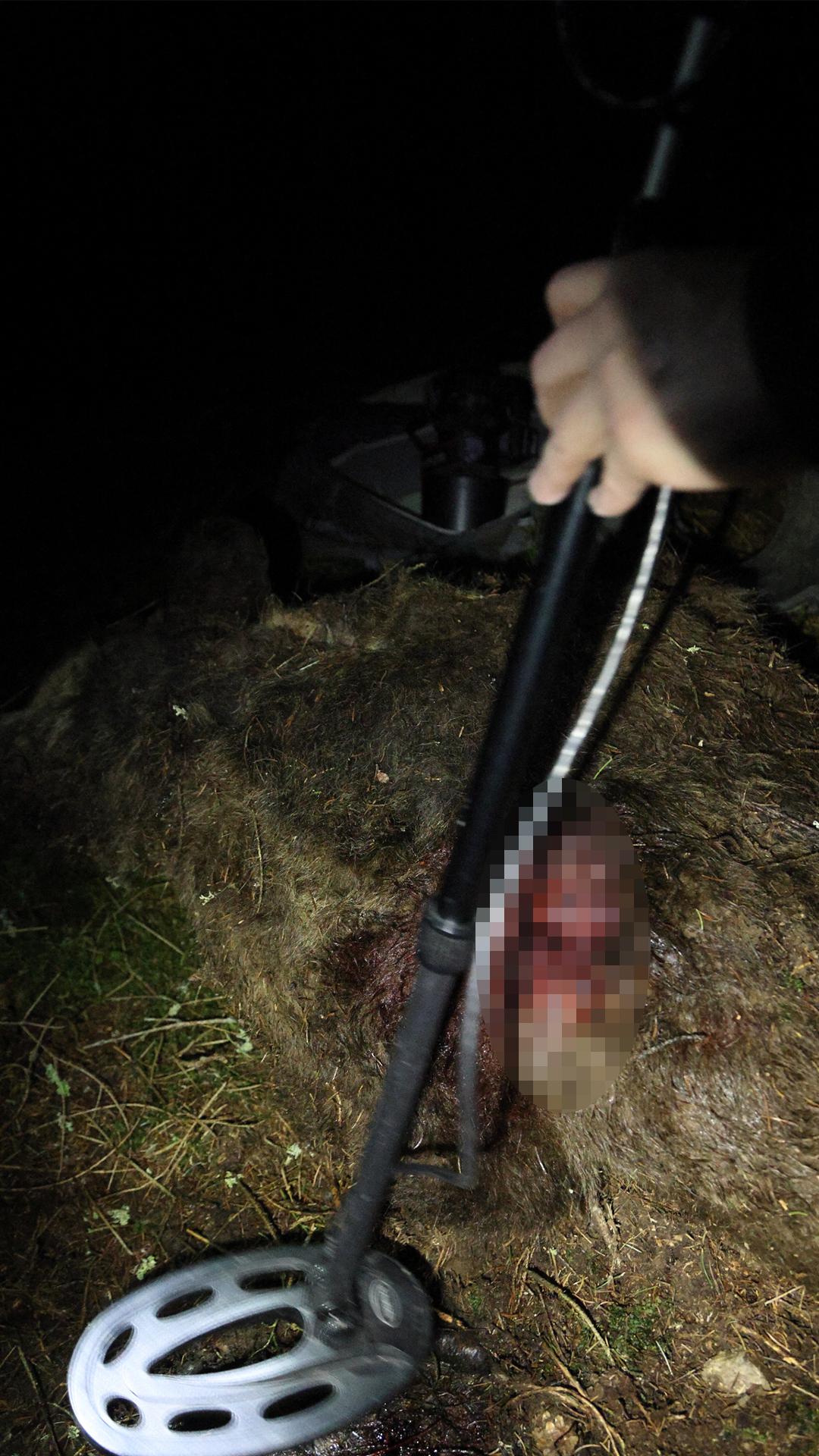 Nález kontrolujú enviropolicajti a členovia Správy TANAPU.