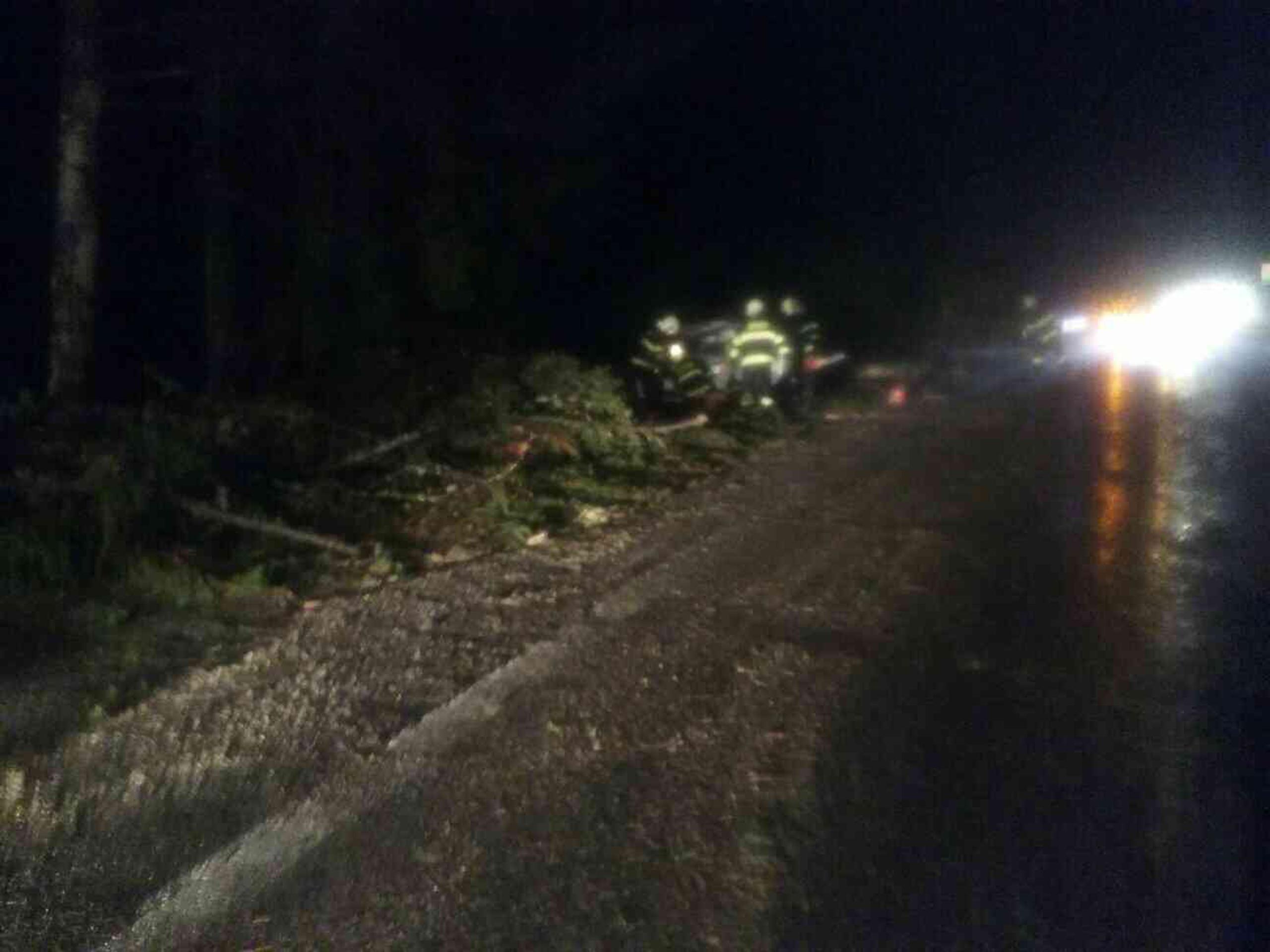 Na mladíka v aute spadol strom.jpg