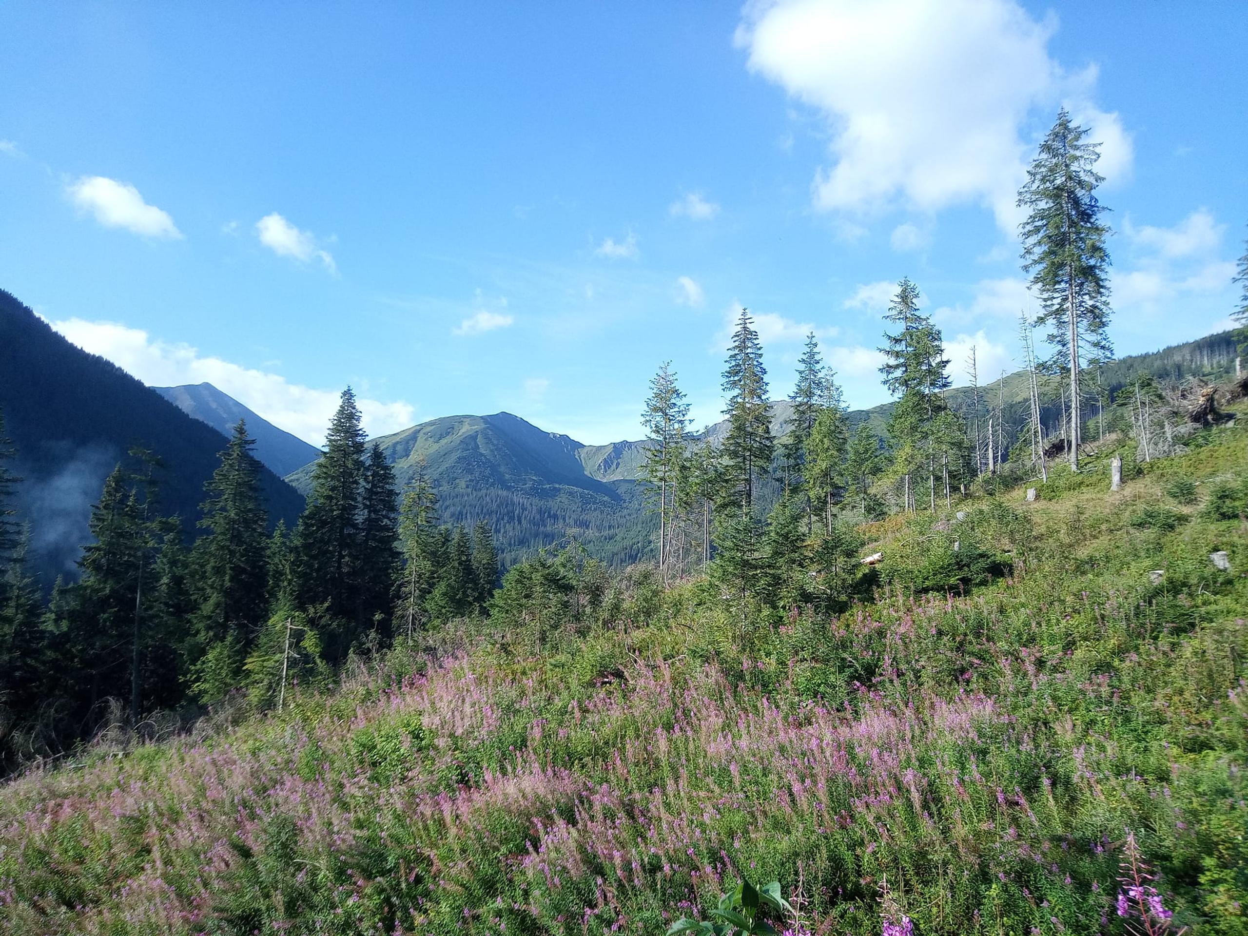Peter Jankovič zdolal najvyššie vrchy všetkých slovenských pohorí