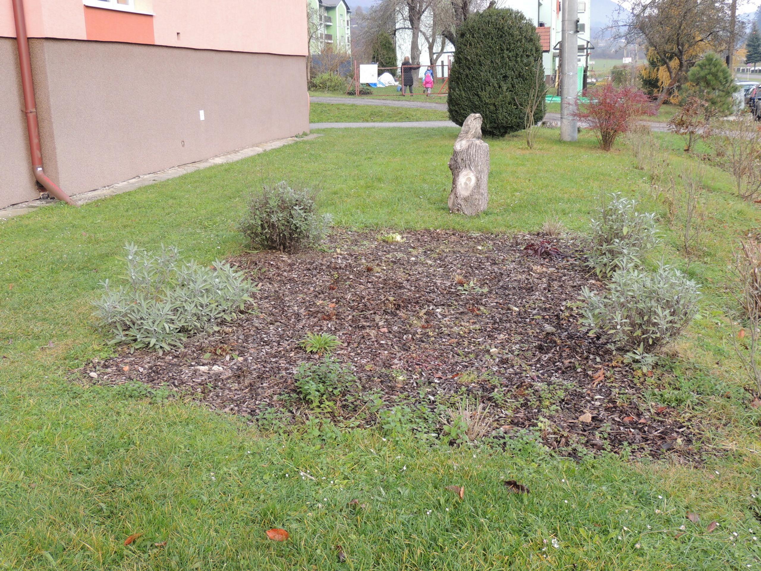 Na snímke ďažďová záhradka pri Základnej škole Župkov