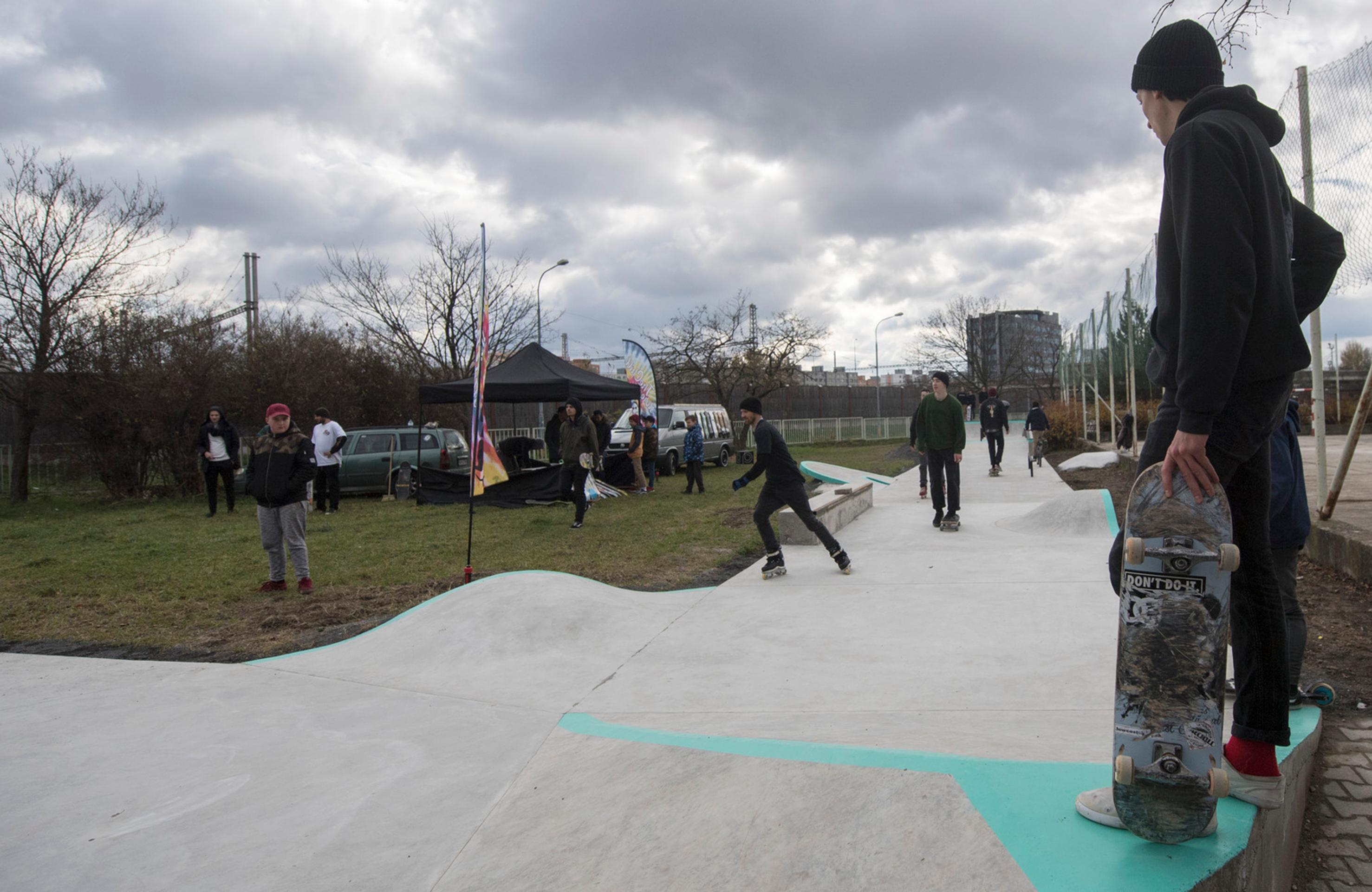 Nehoda koňa s autom.