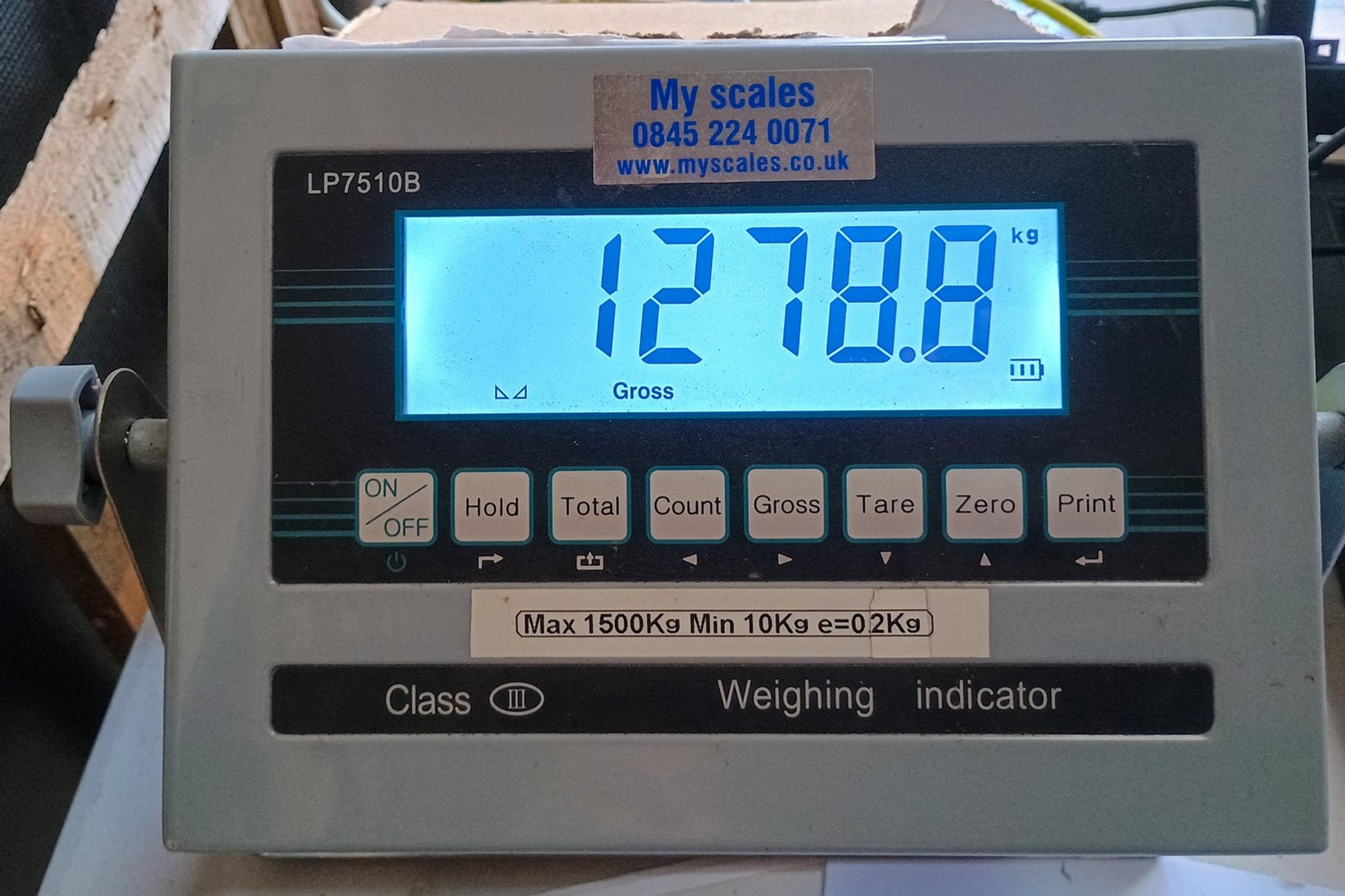 Bratia vypestoval rekordne veľkú tekvicu.