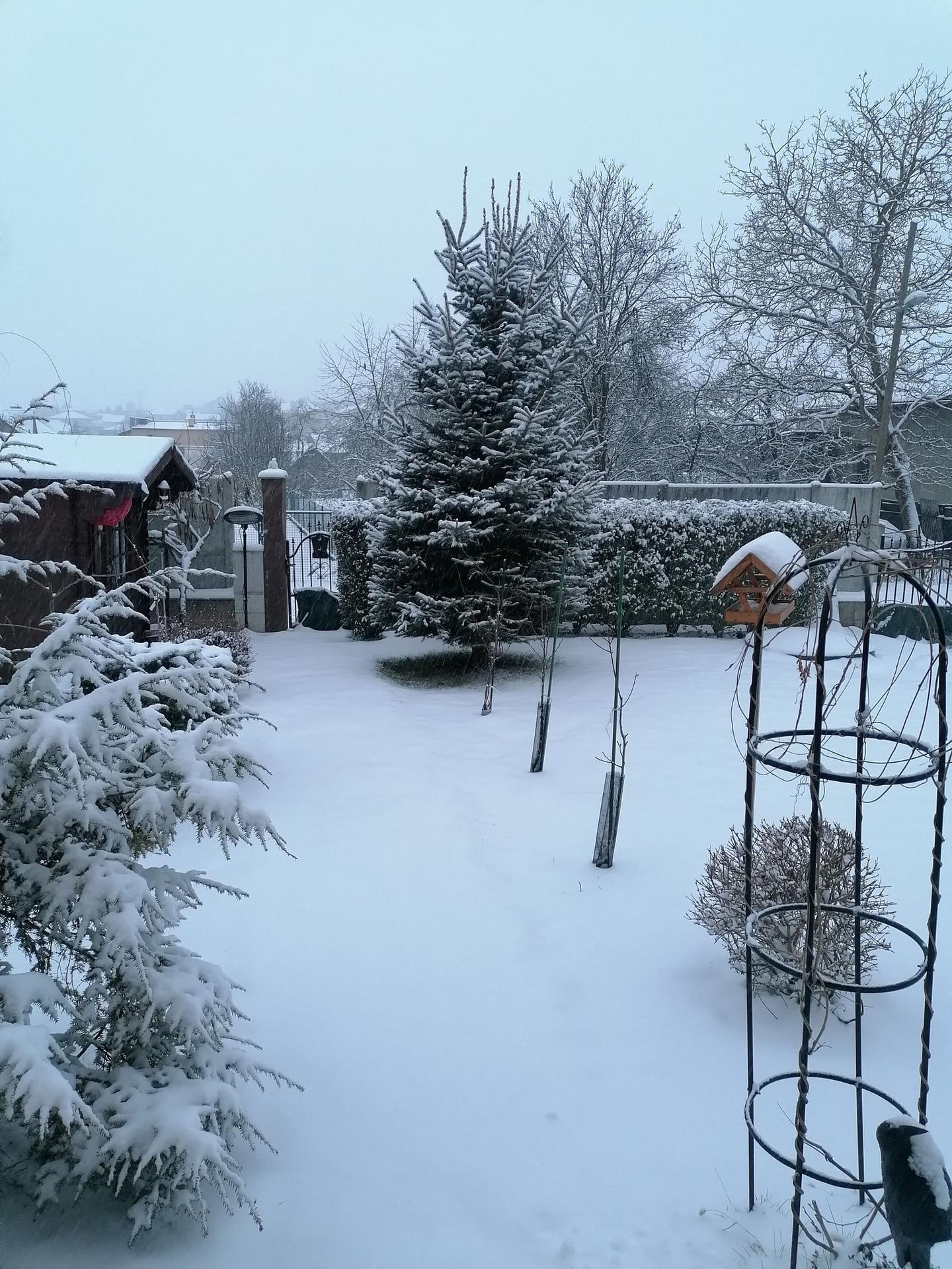 Fintice, EmErika Hibbi