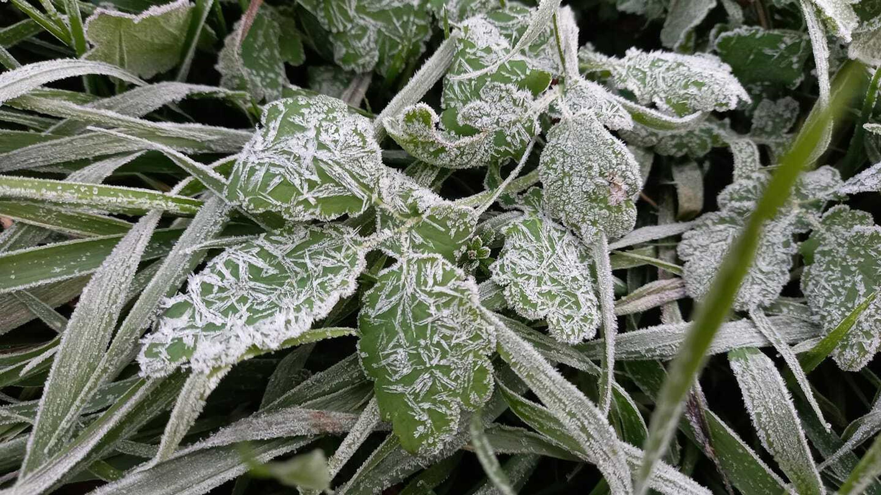 Foto od vás - Heľpa