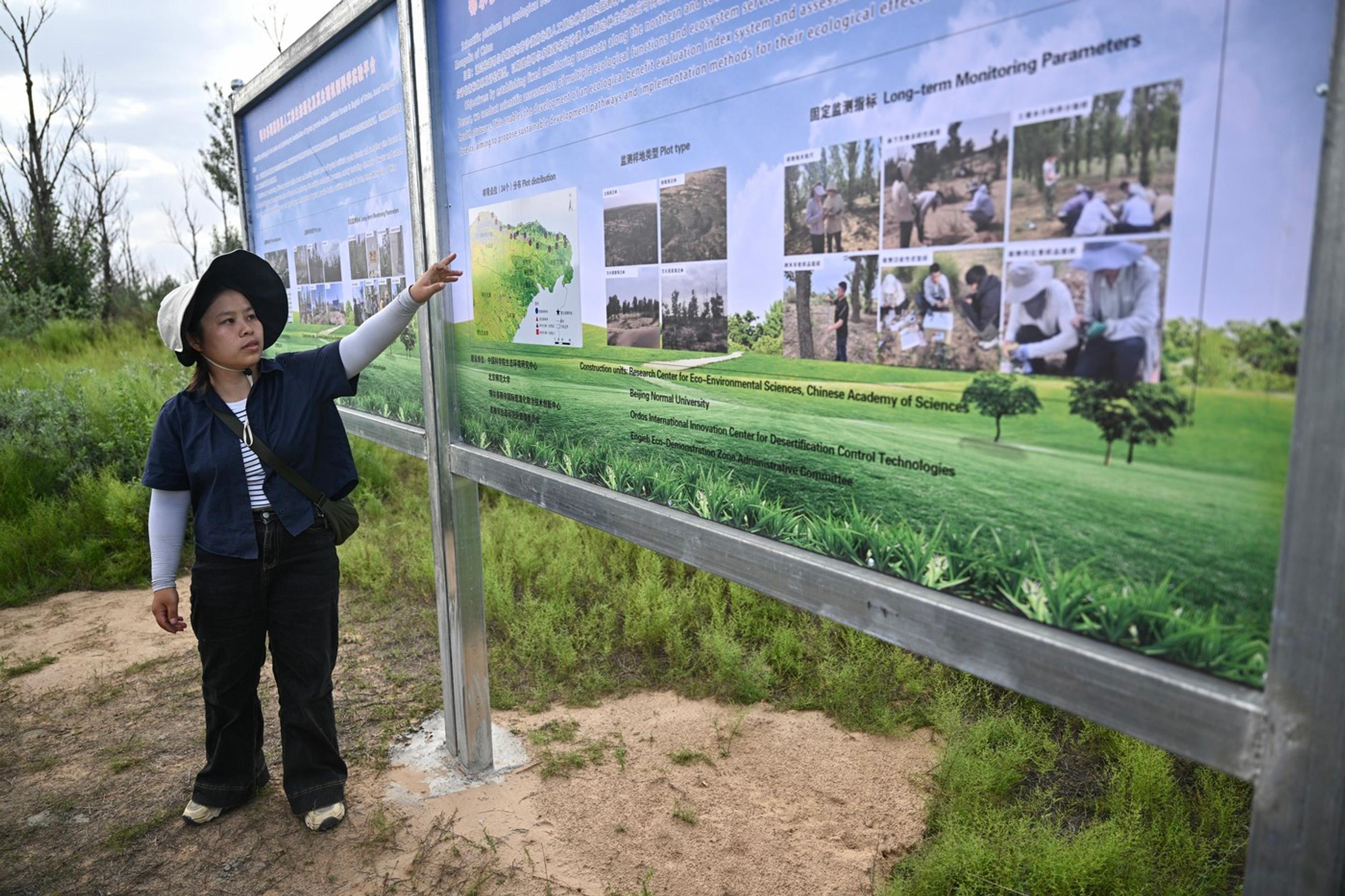 Na tejto fotografii z 11. augusta 2025 študentka Zhang Yanping vysvetľuje projekt zalesňovania suchých a púštnych oblastí, známy ako „Veľký zelený múr“.