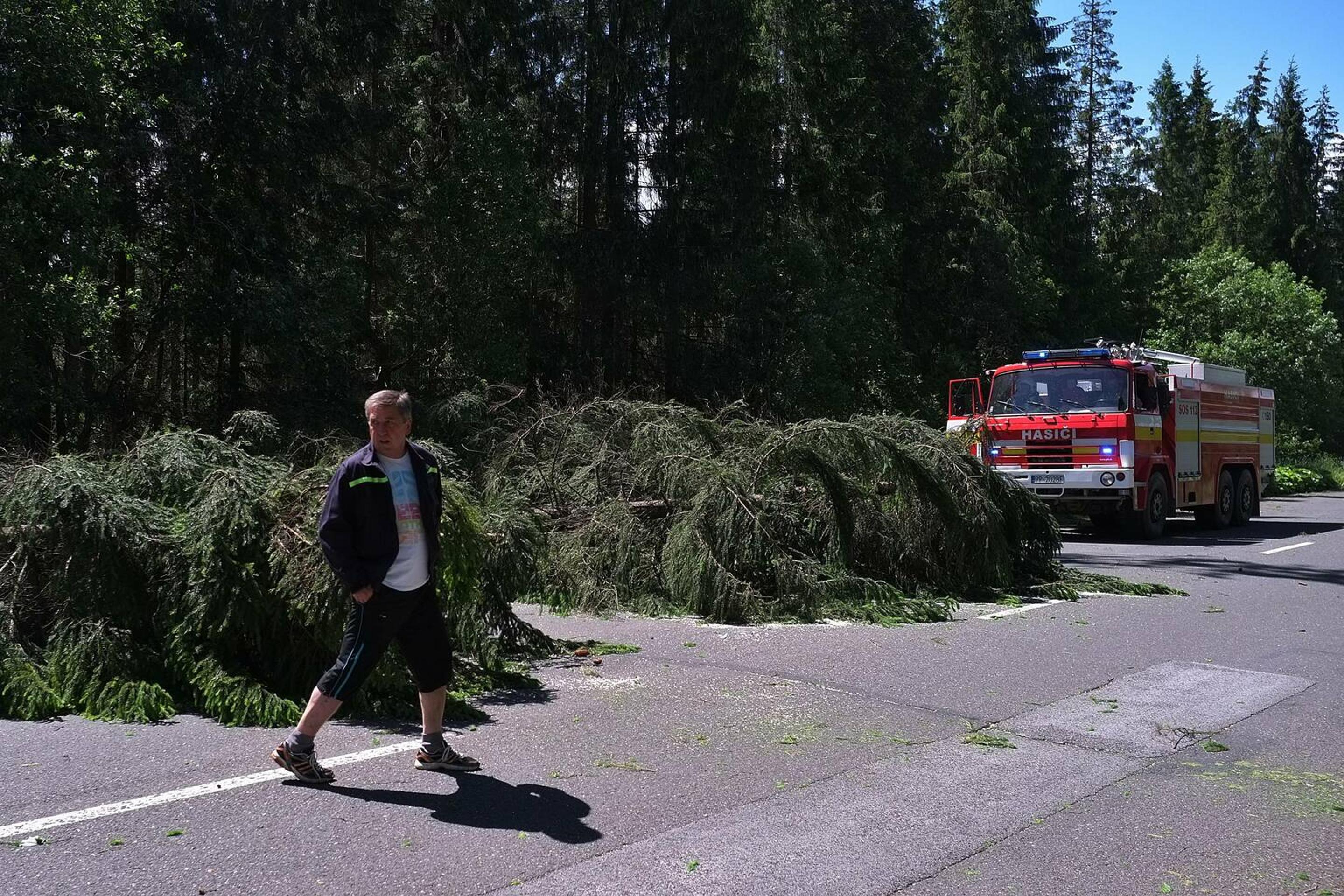 Na snímke hasiči a dobrovoľní hasiči zo Ždiaru odpratávajú popadané stromy z cesty