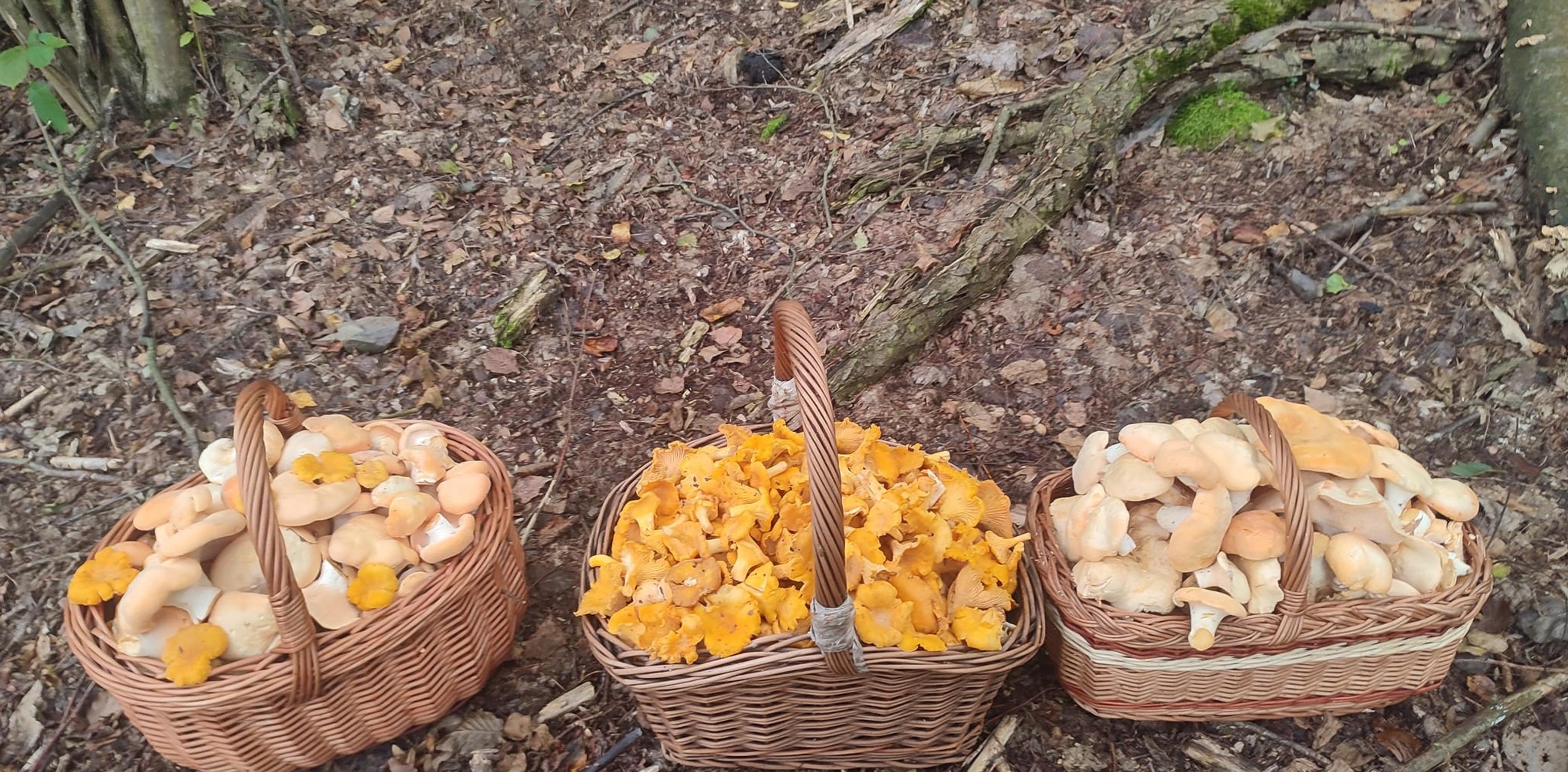 Aj Ján Lušňák v Gelnici nevyšiel naprázdno.