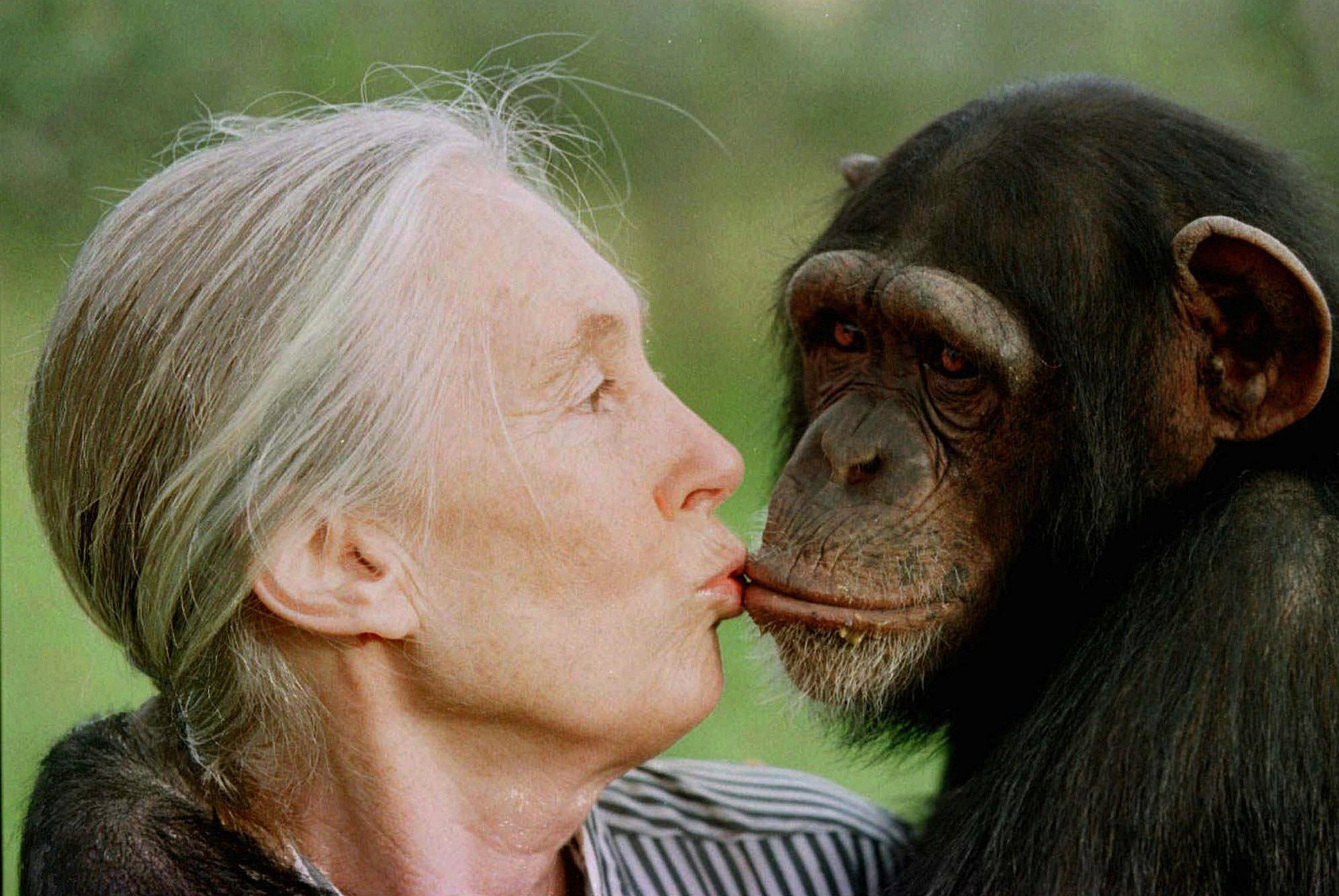 Jane Goodall