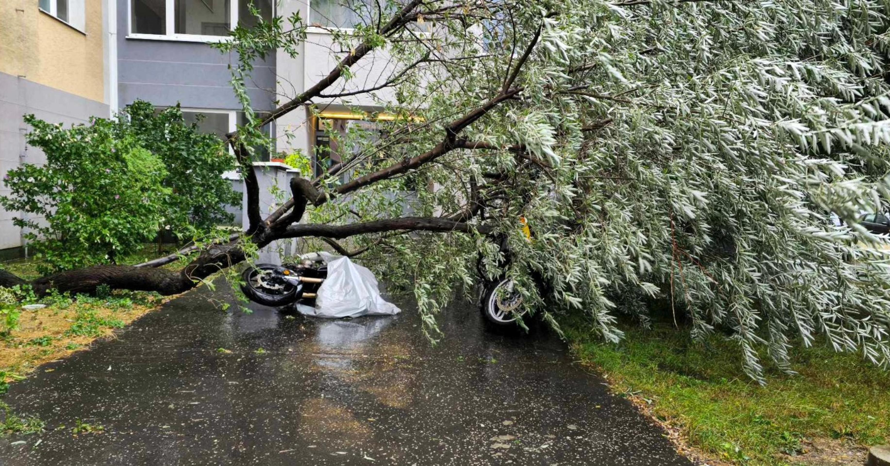 Technický zásah - padnutý strom na motocykle