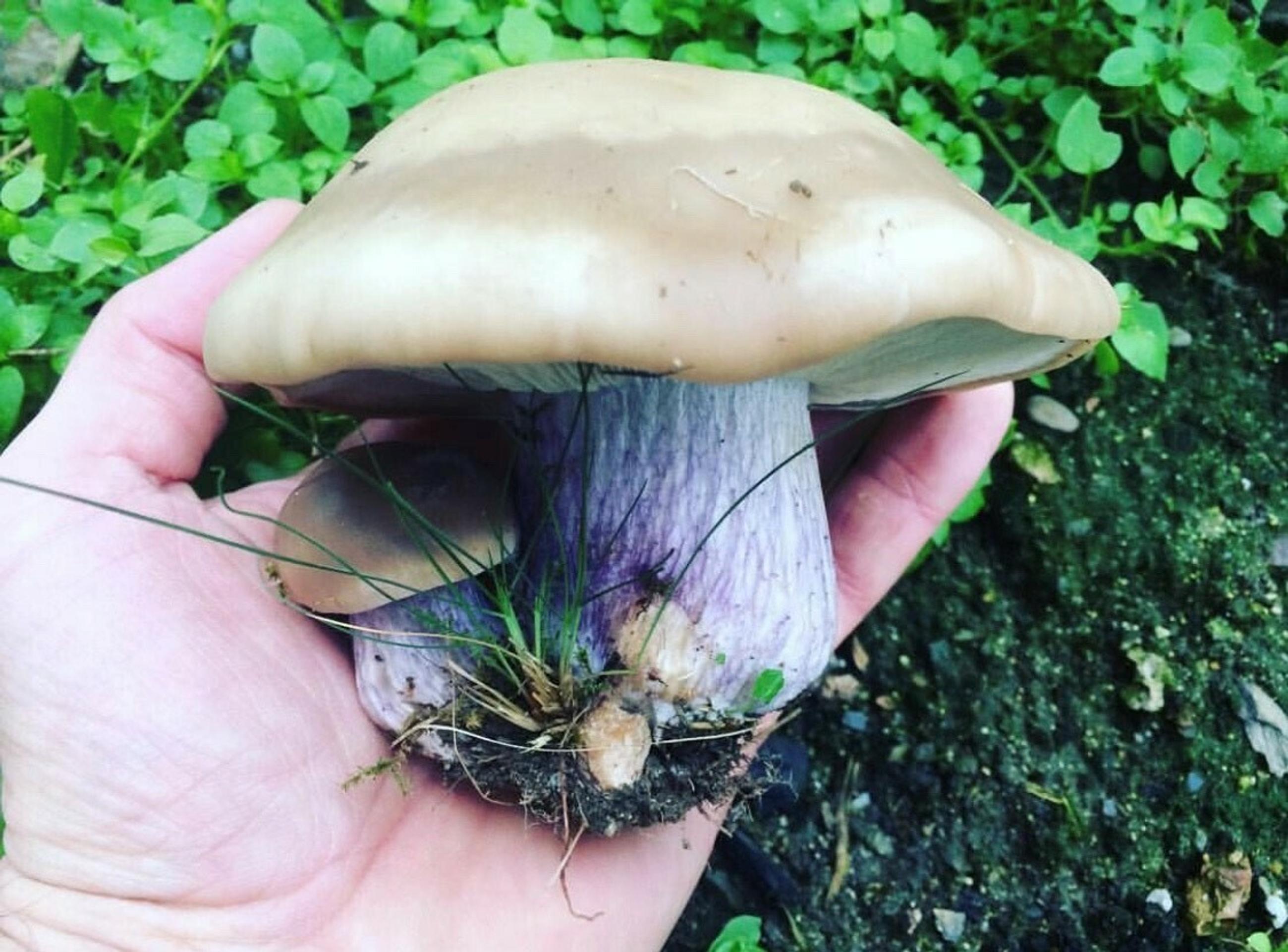 Archívna snímka Erika Valentoviča.