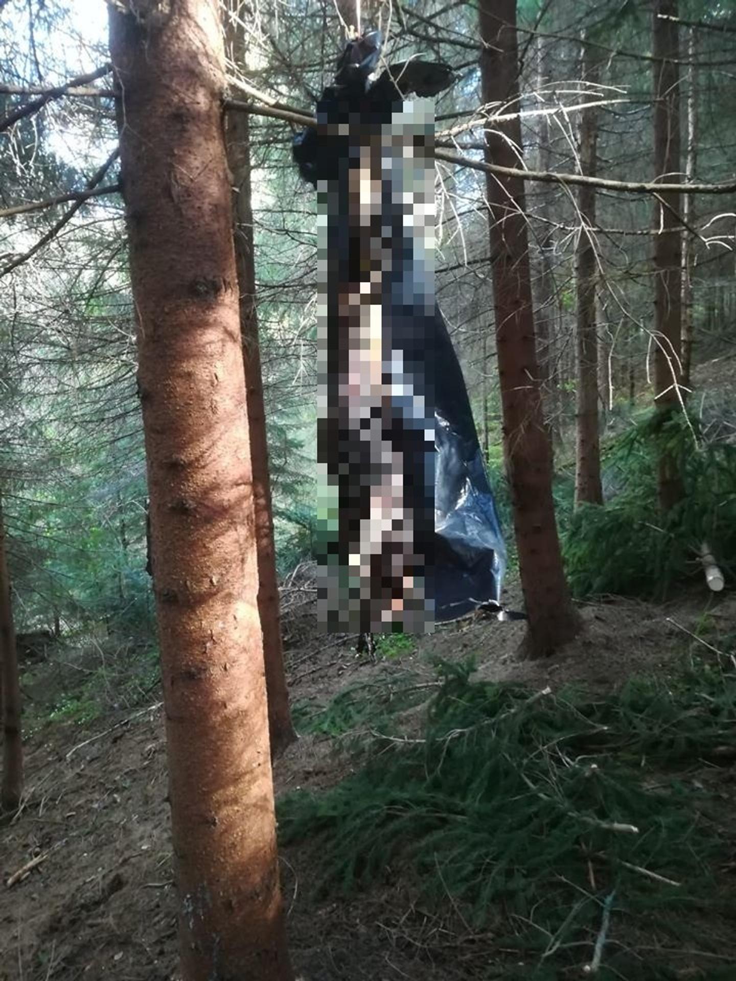 Šéfkuchár, ktorý v rúre spáli papriky? Môžete sa od neho učiť!