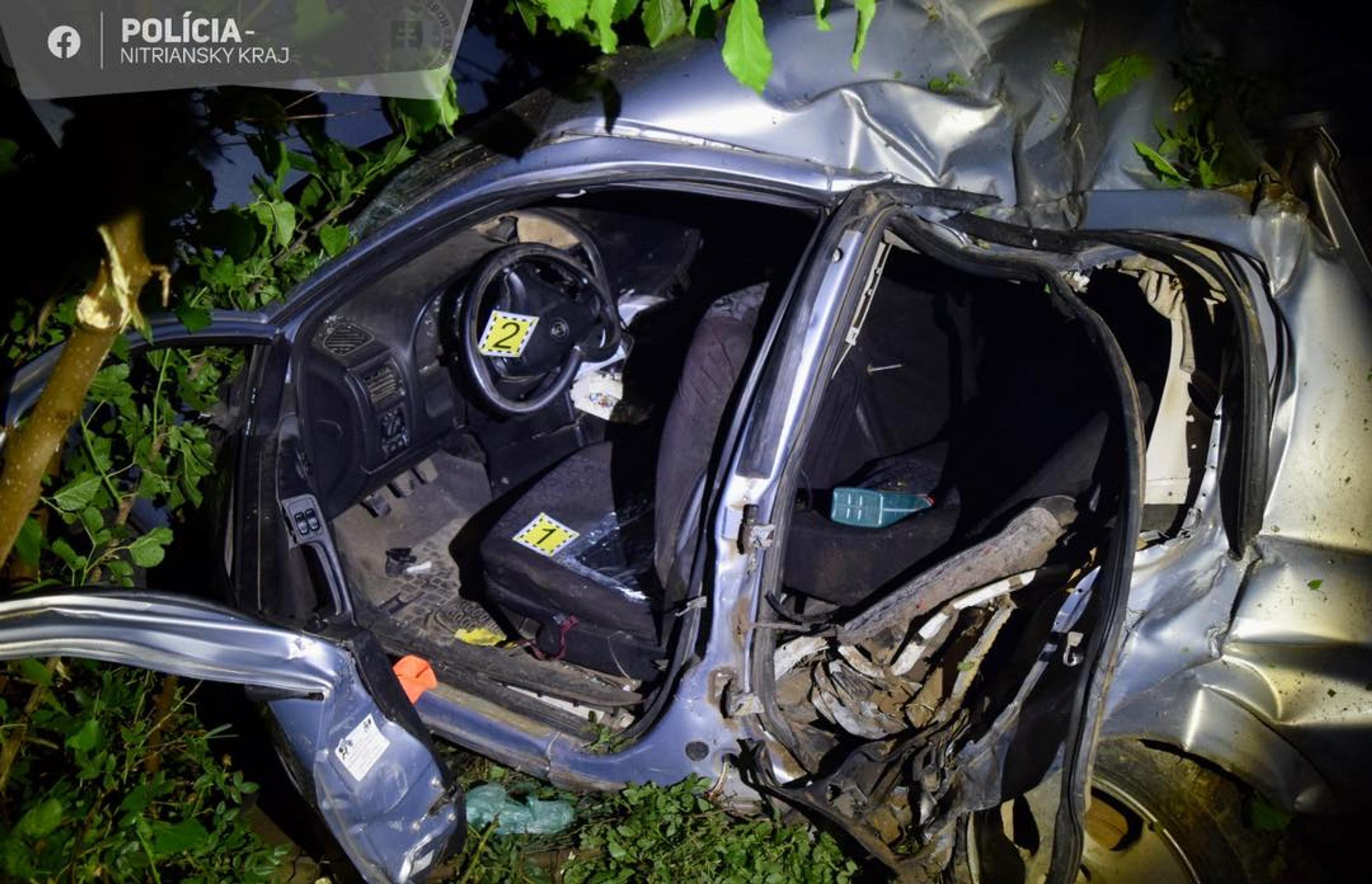 Tragická nehoda pri Šali