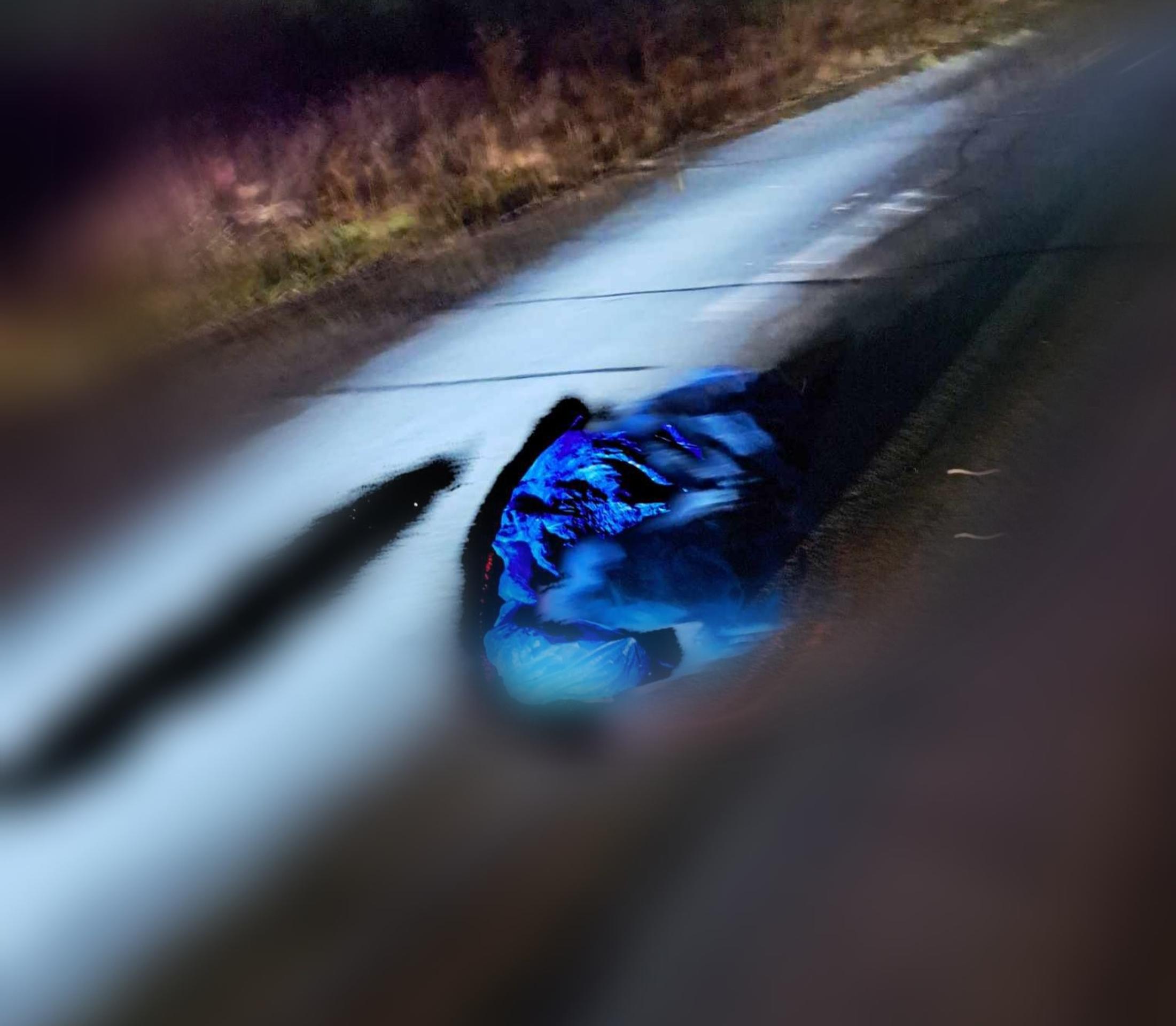 386219182_708948224604082_4389139622109770499_n